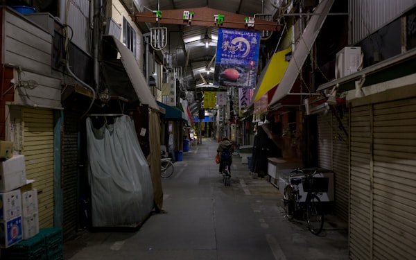 Small Guesthouse in the Shotengai Area