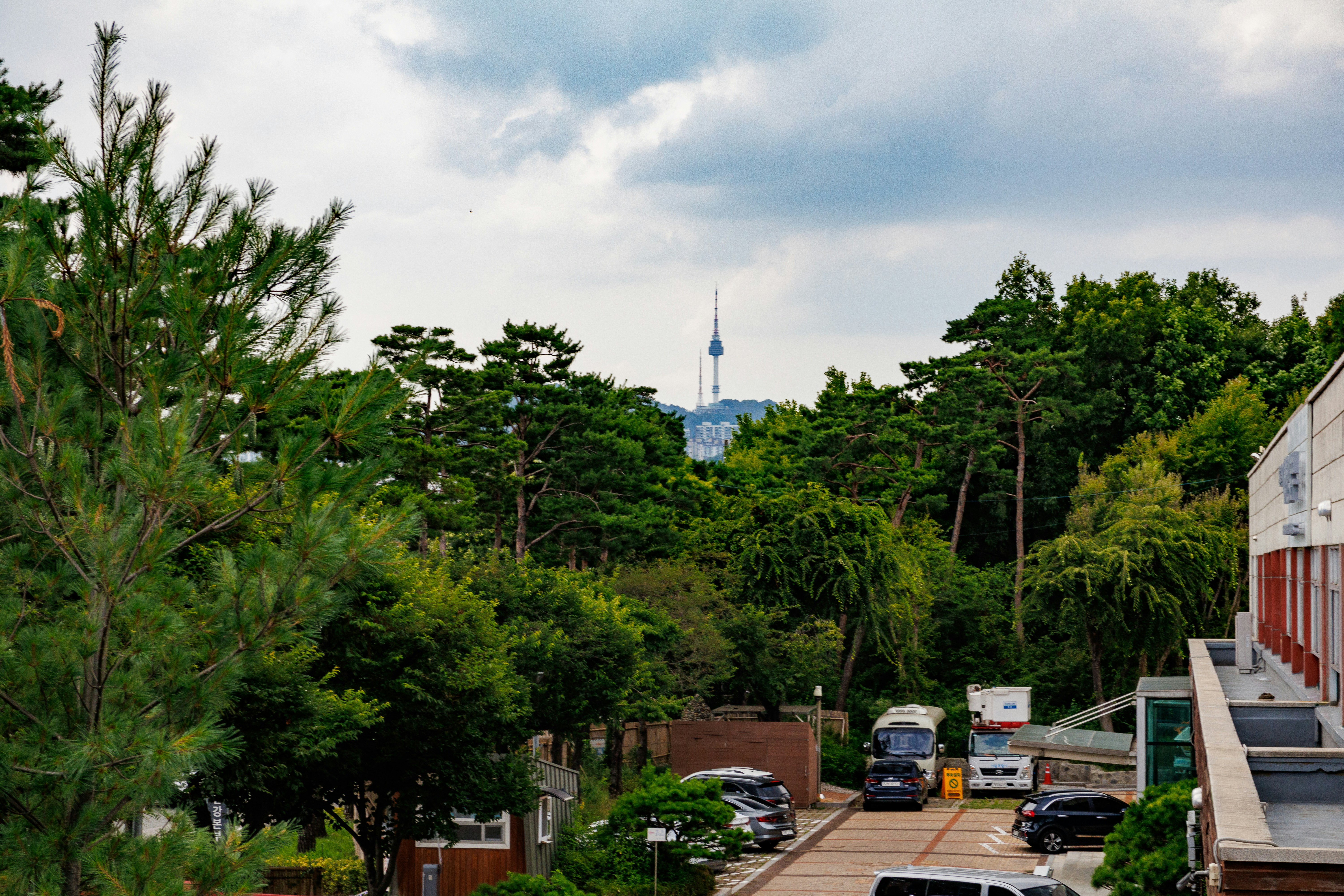Seoul Forest photo 2
