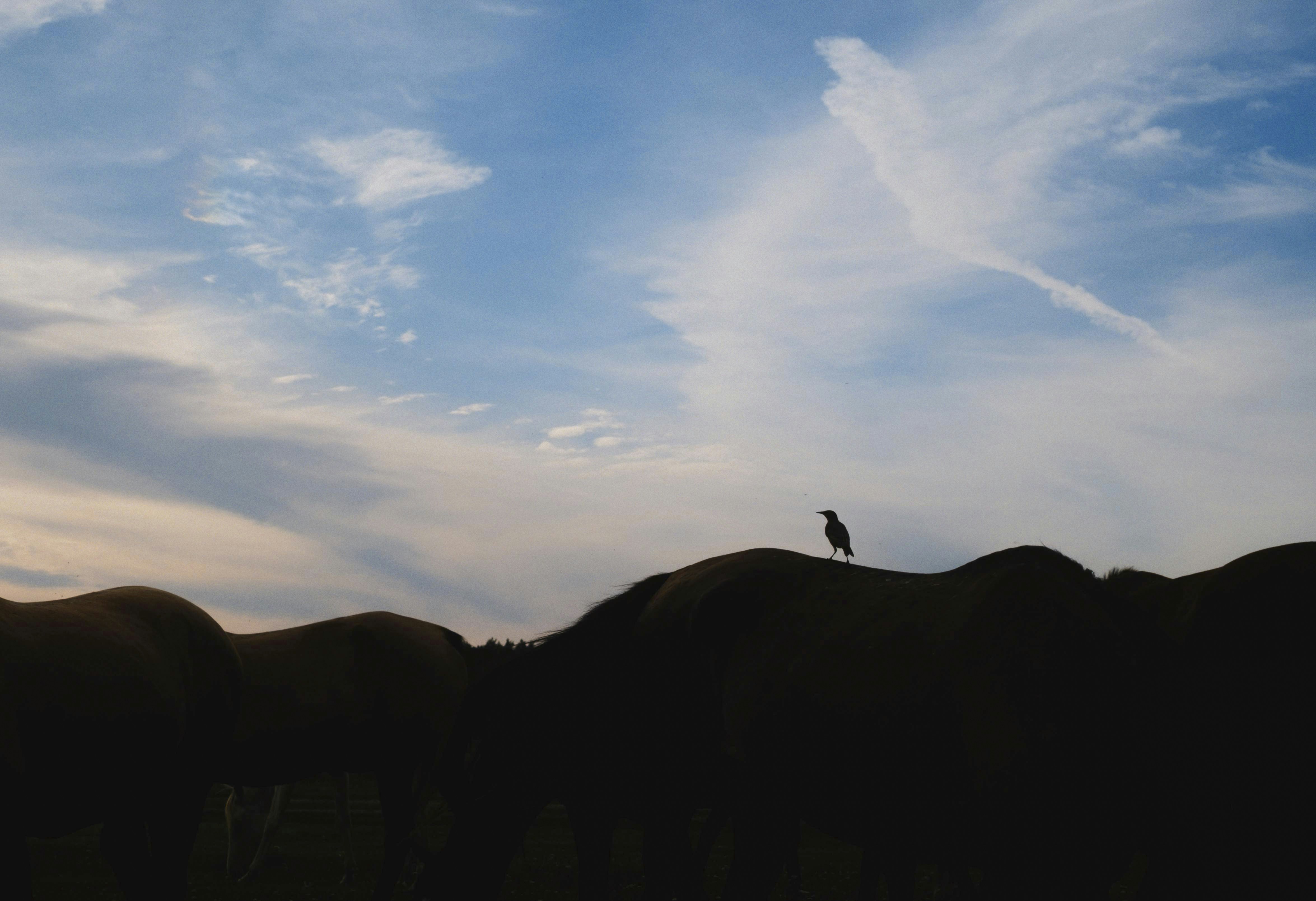 Photo by evil_bumblebee