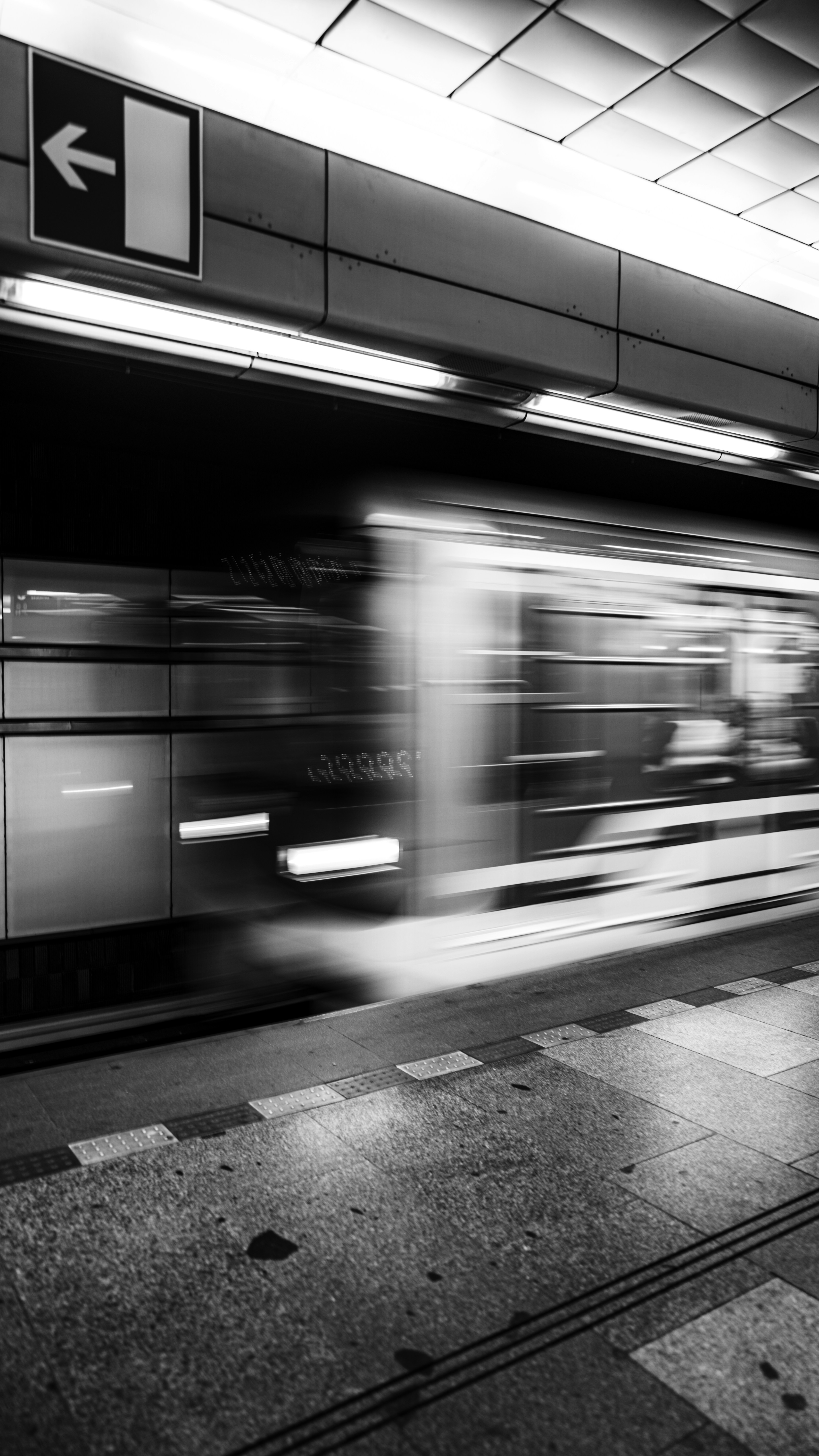 Photo by branislavrodman