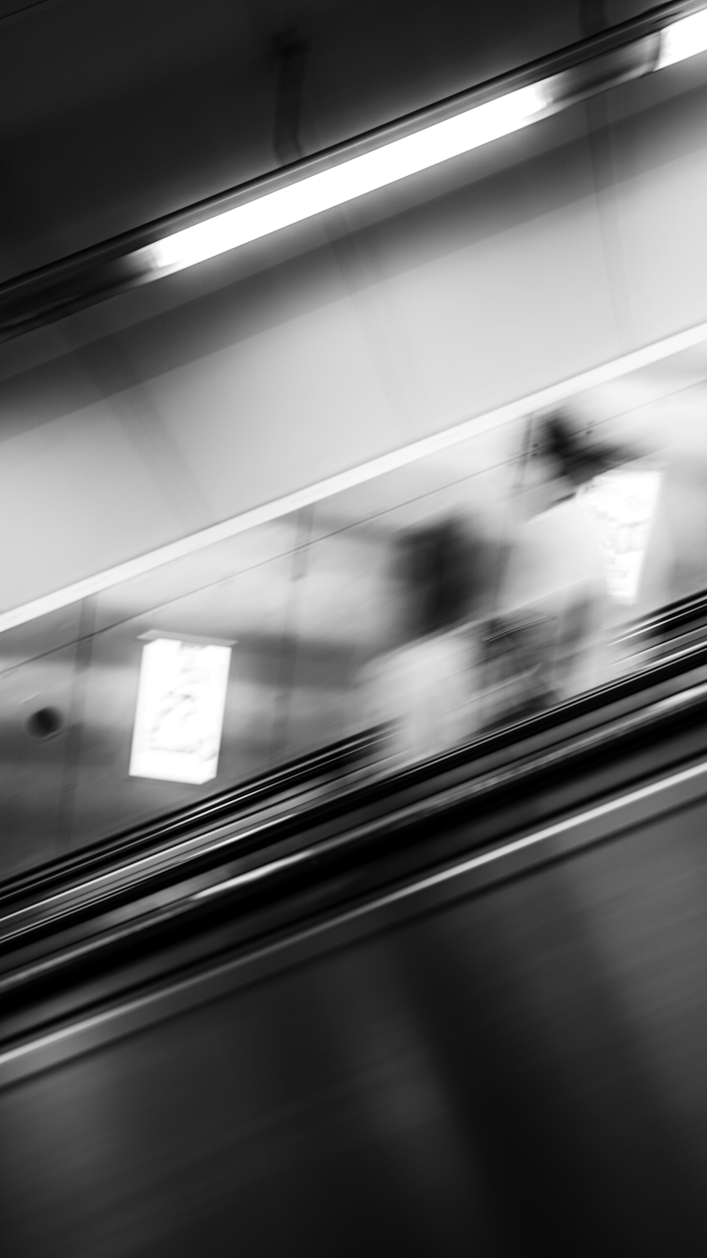 Photo by branislavrodman