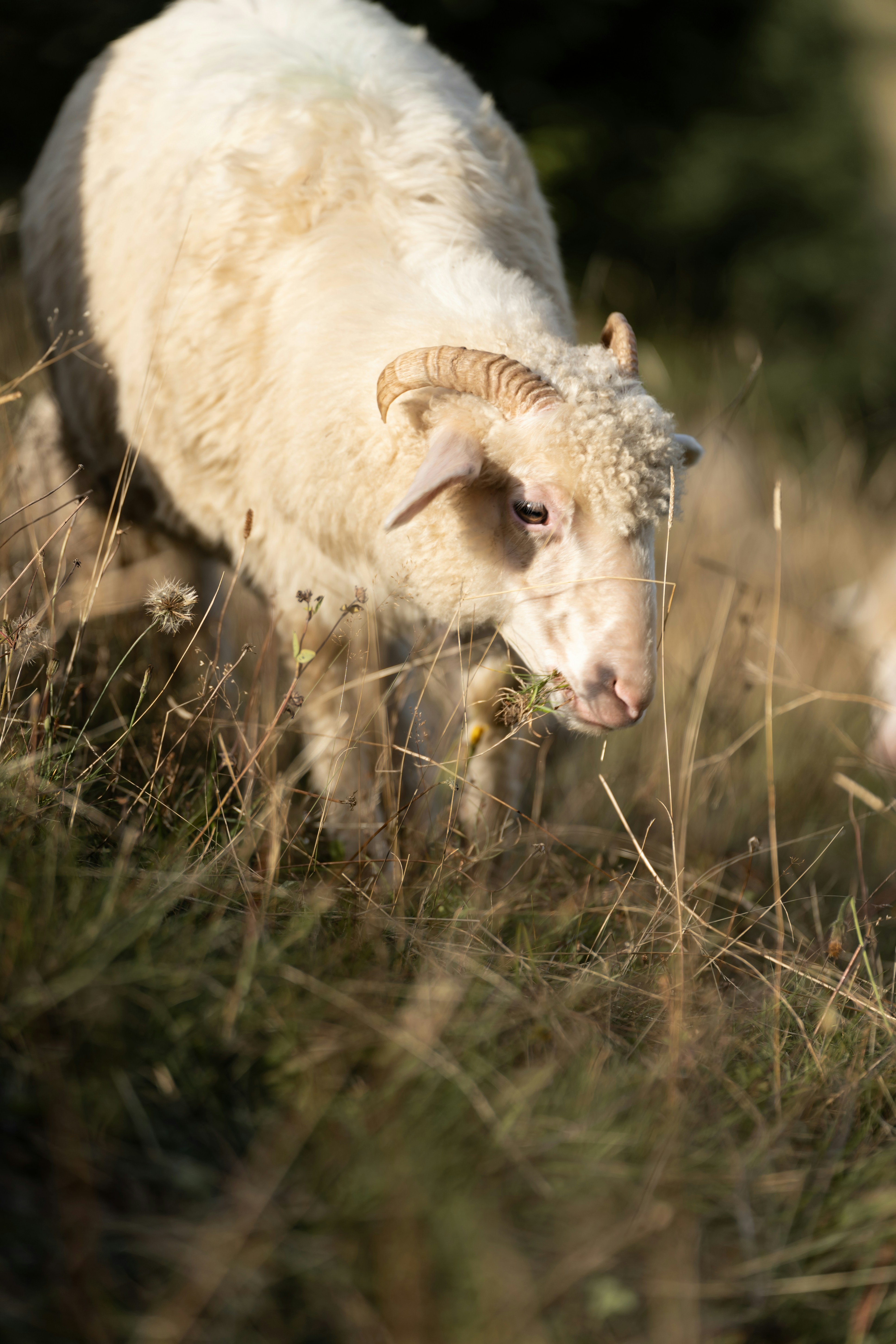 Photo by fullofframe