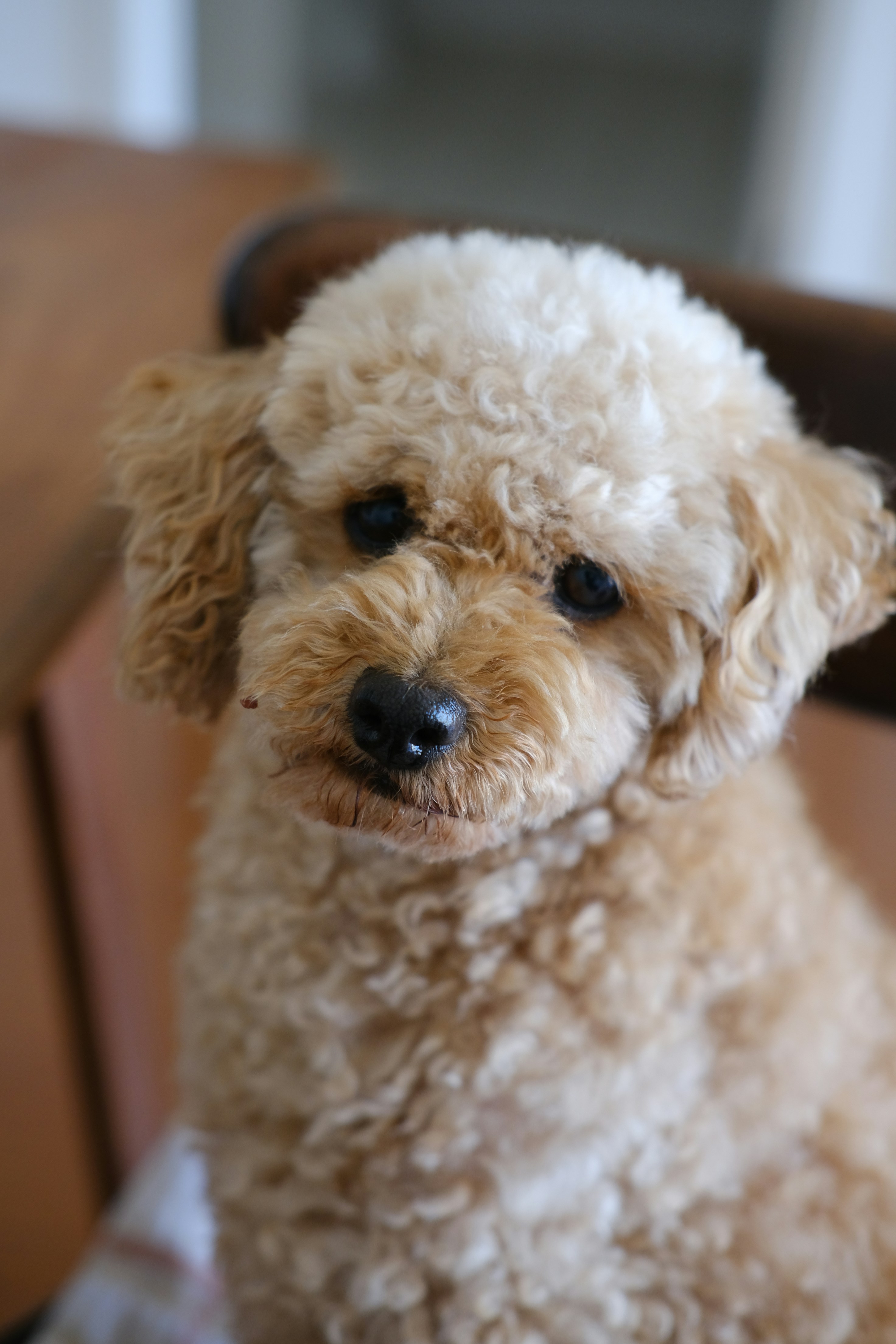 Photo by sabinajeinku