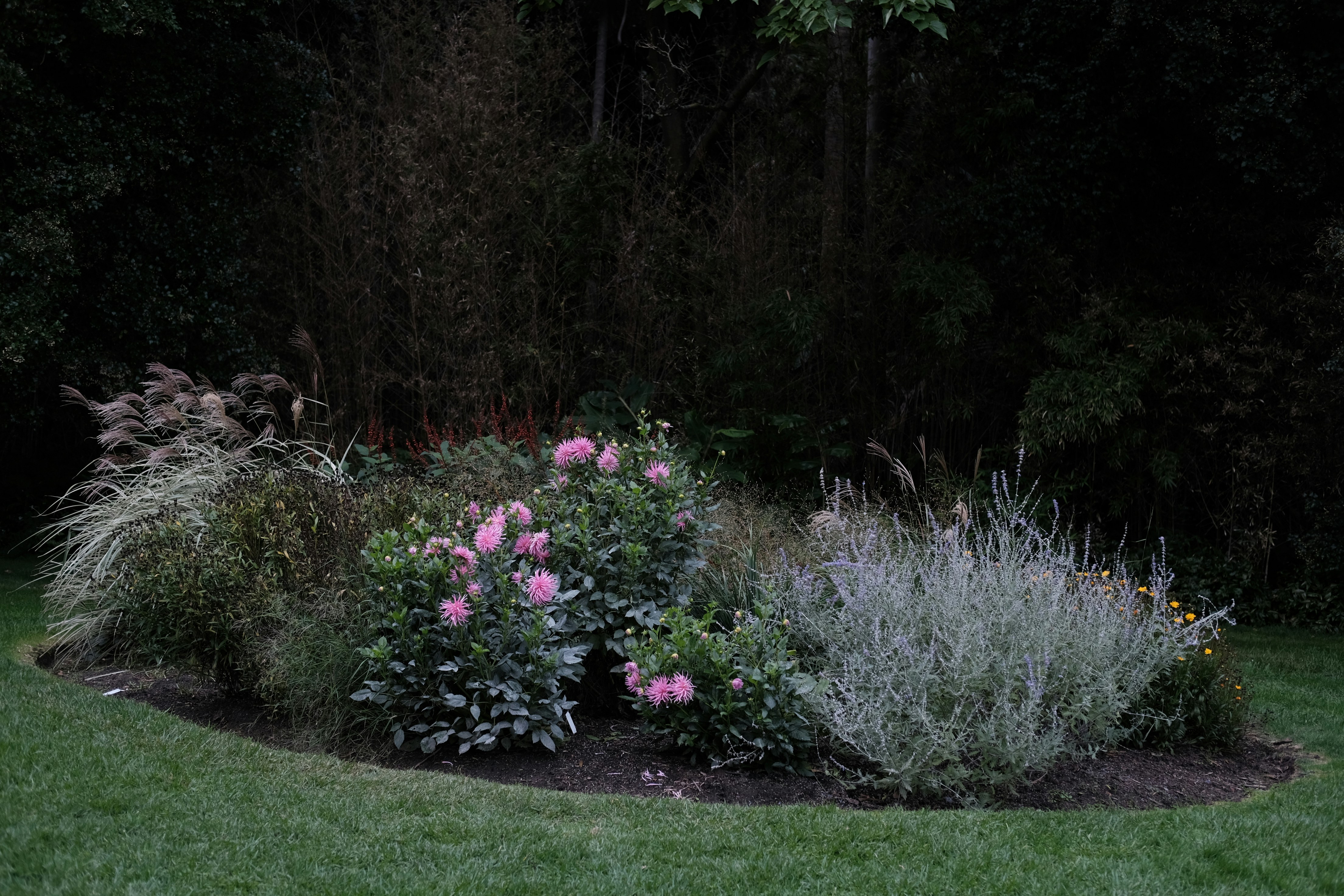 Photo by sabinajeinku