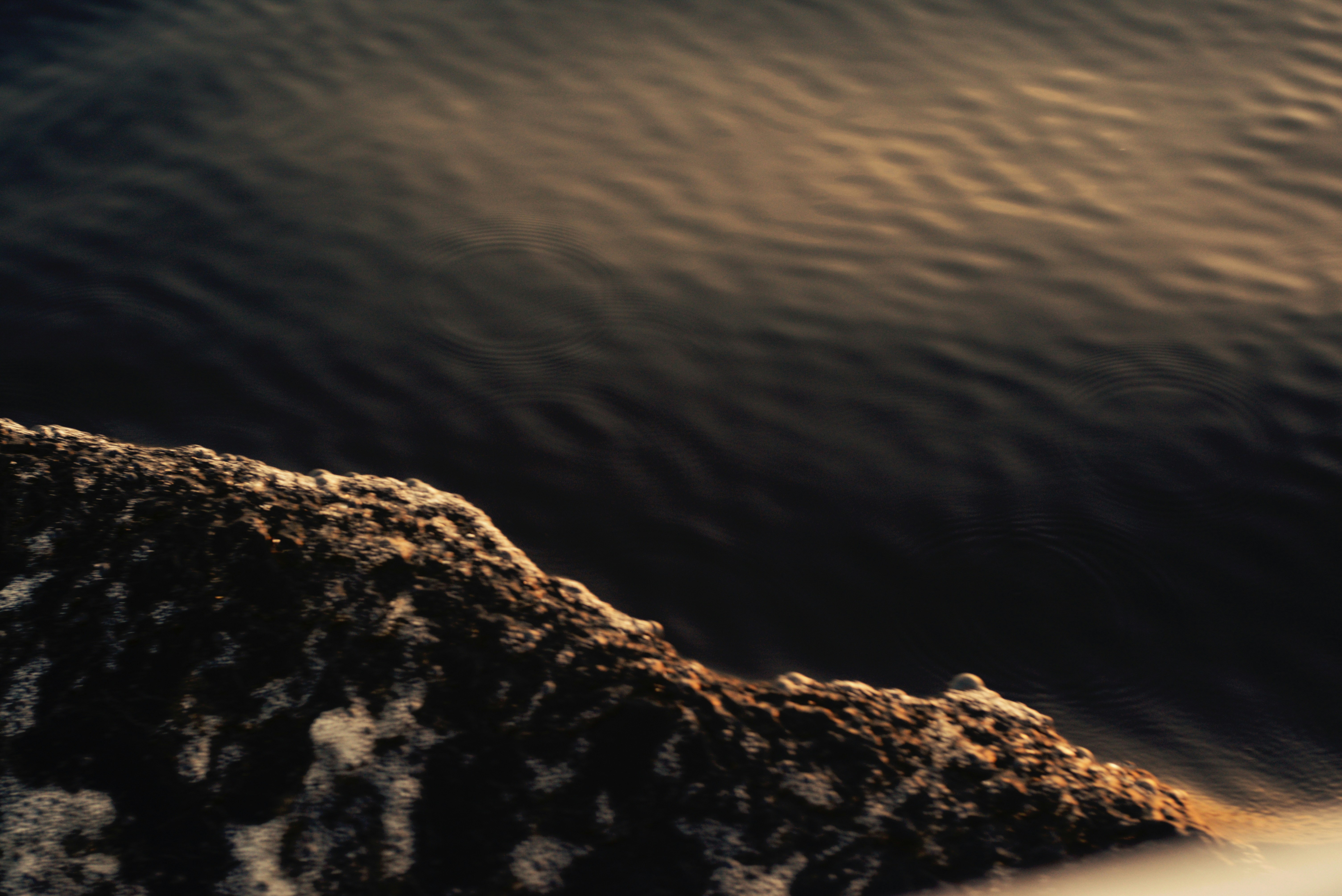 Photo by cherstve_pechivo