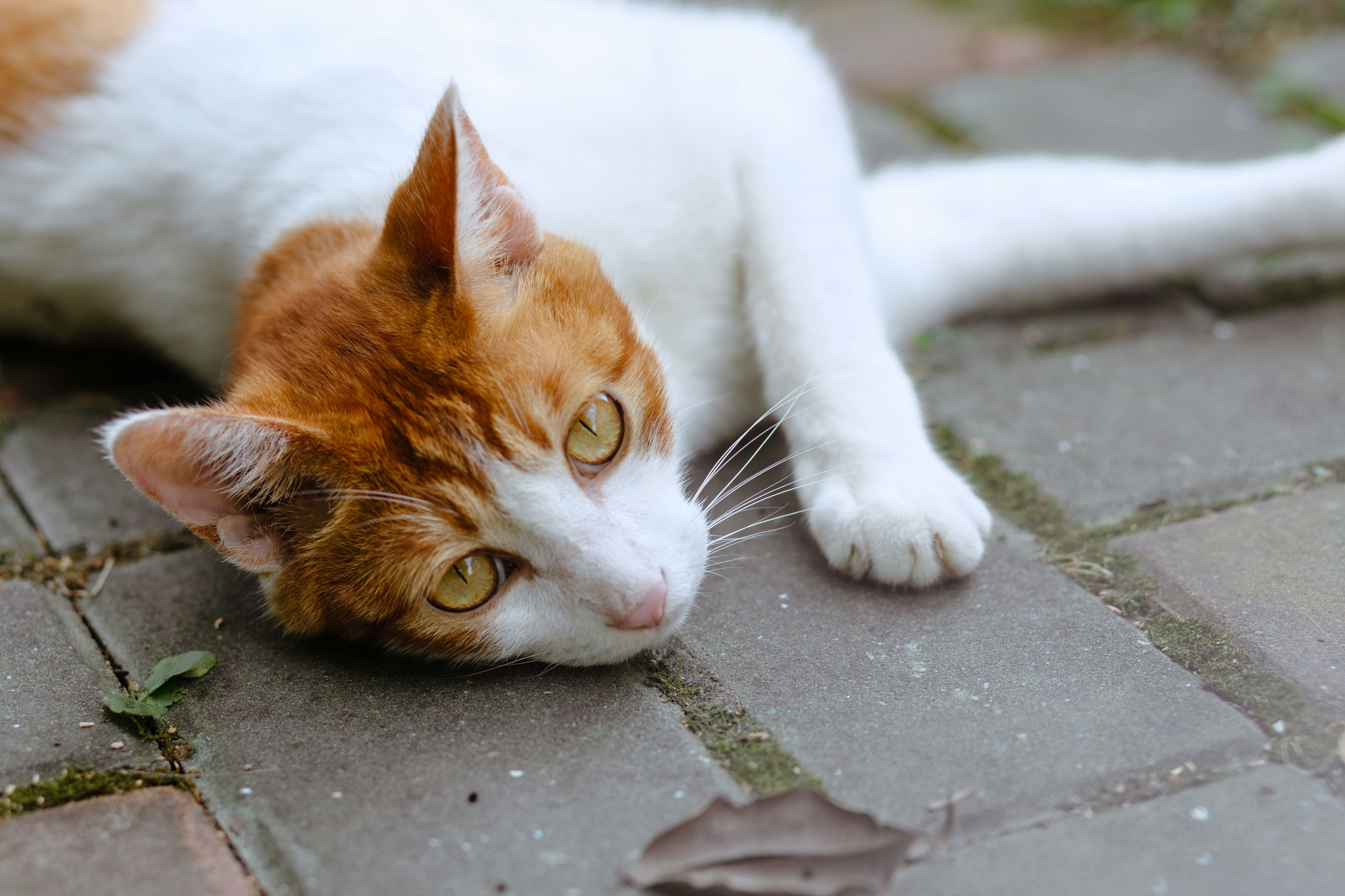 Photo by runningchild