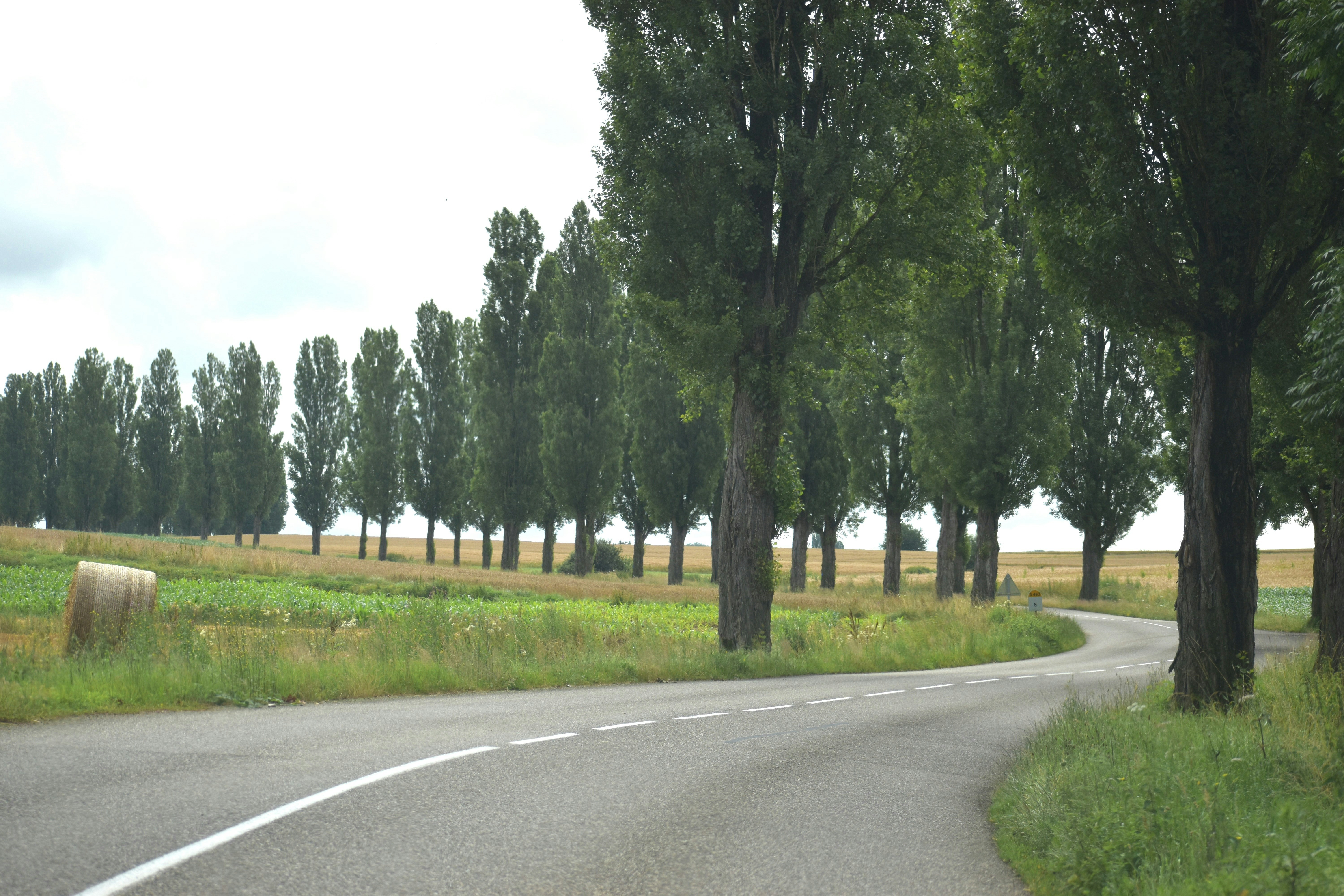 A curved road surrounded by trees and hay bales