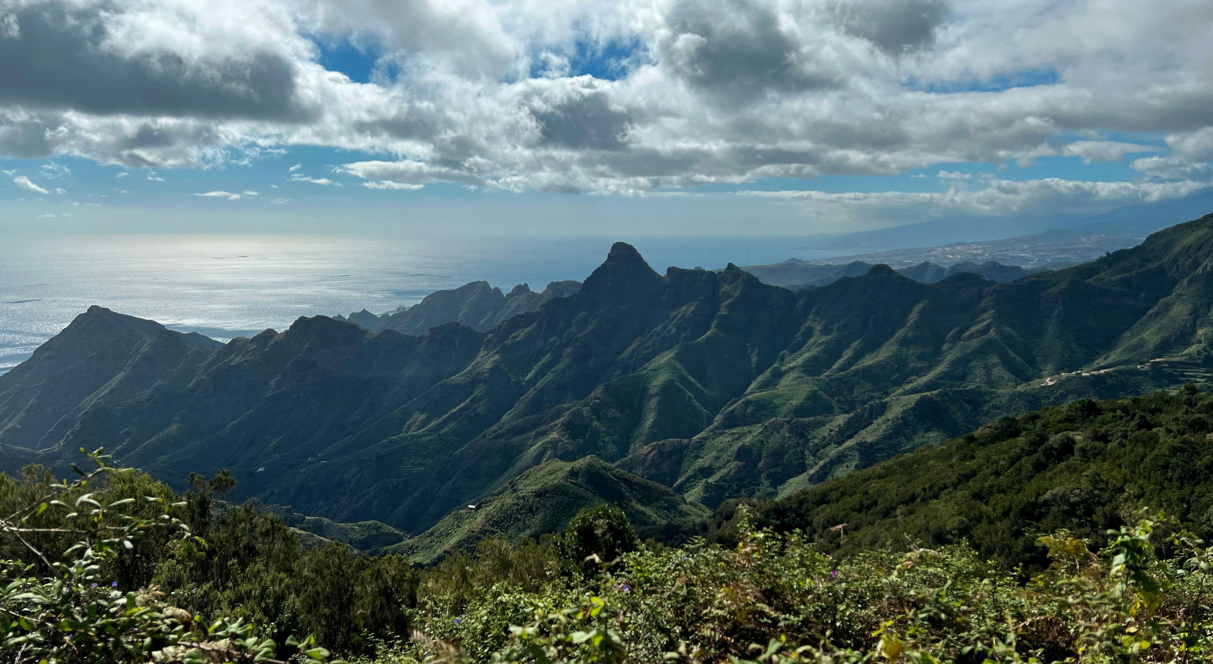 Angela Roche (@loveandlogic) | Unsplash Photo Community