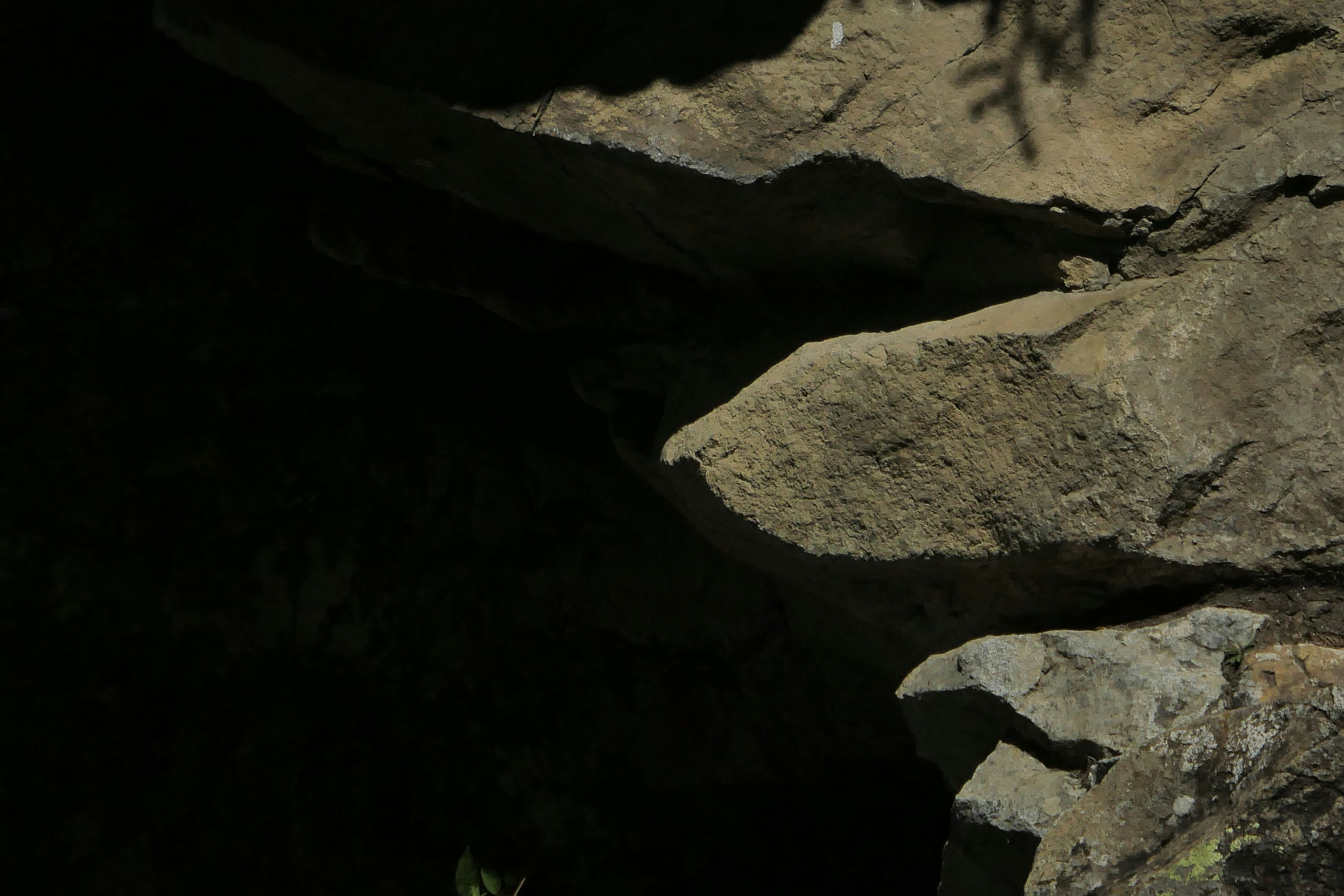 Photo by catherinedaho