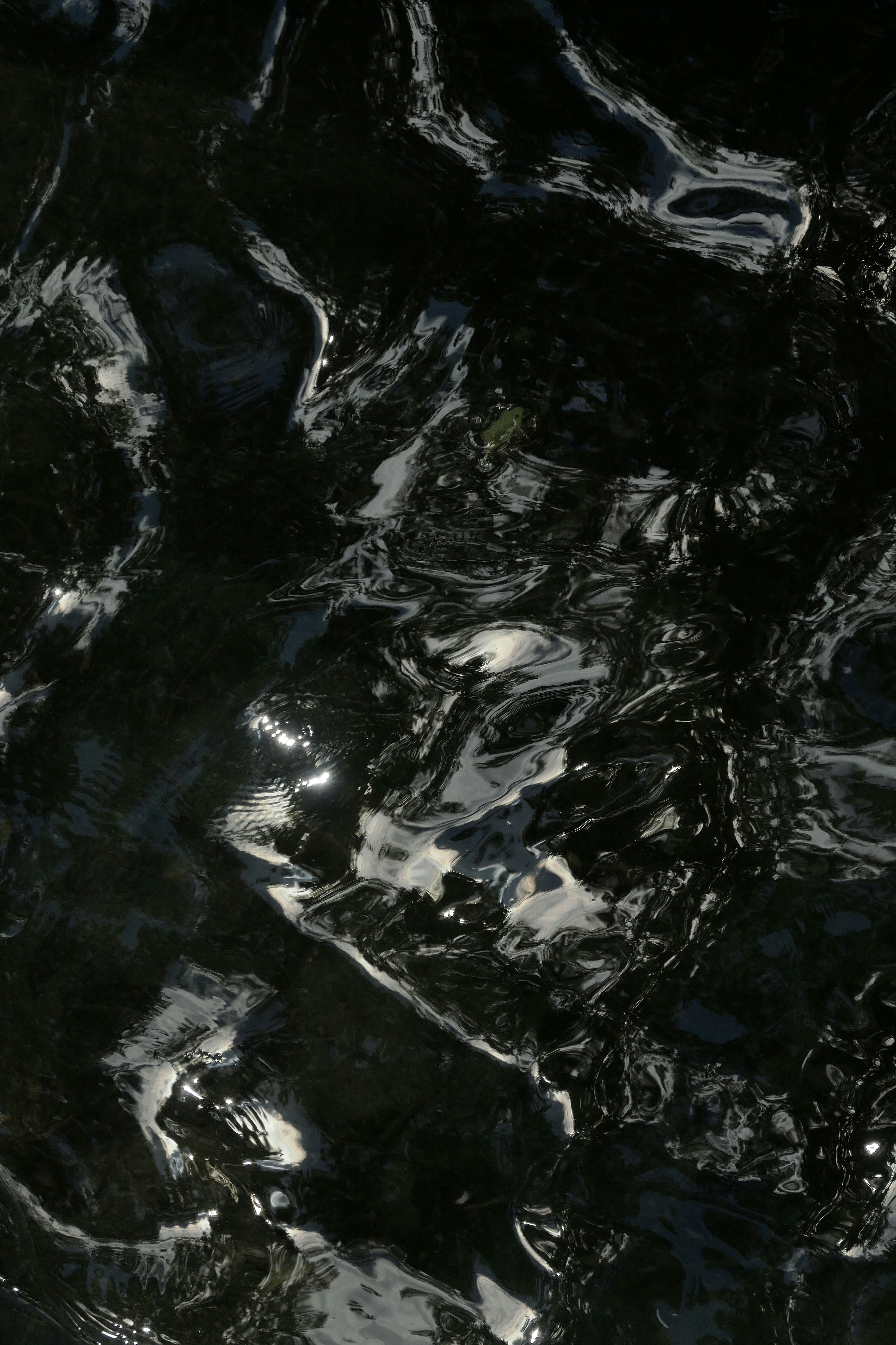 Photo by catherinedaho