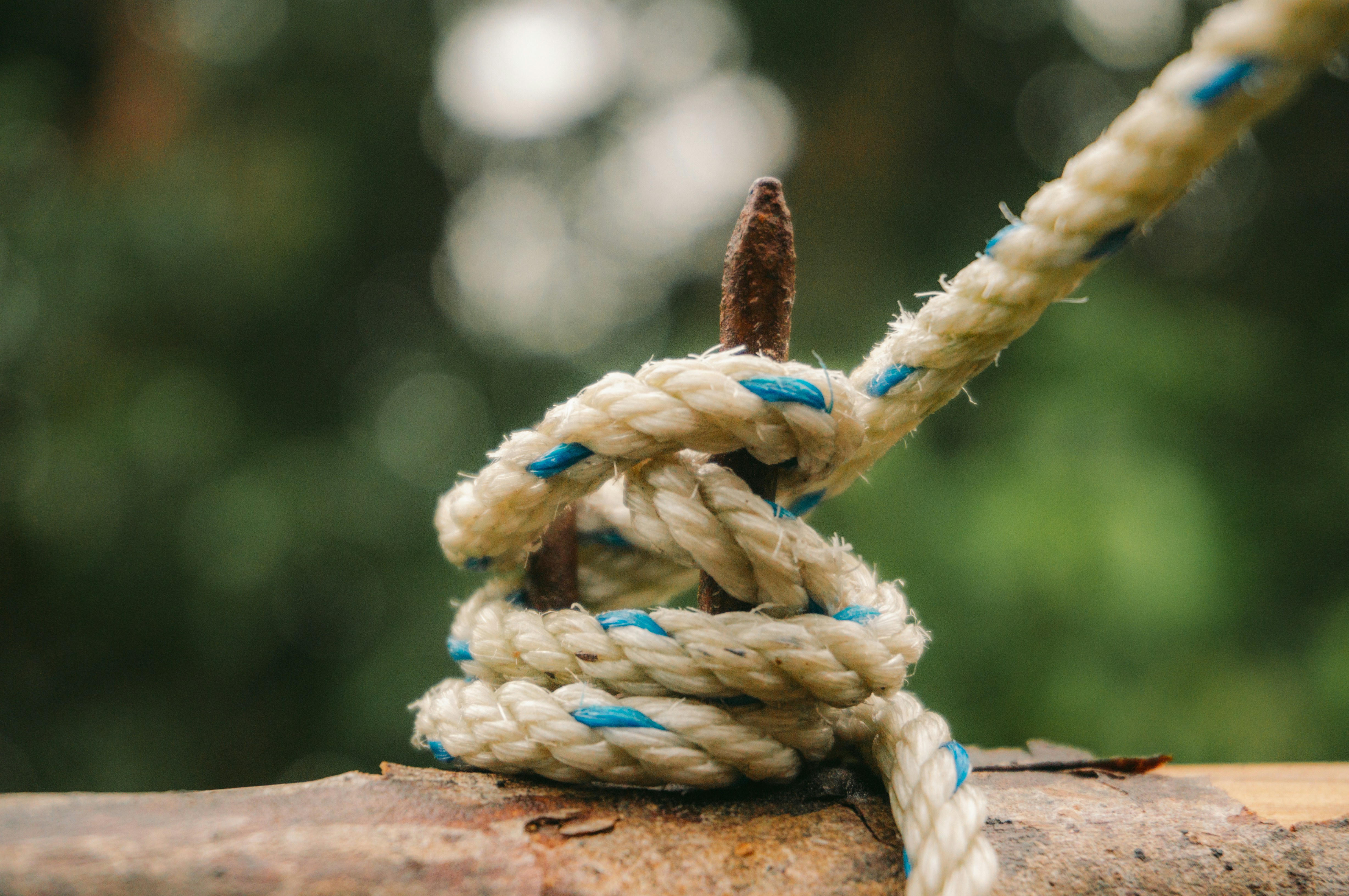 Photo by aletraekaye