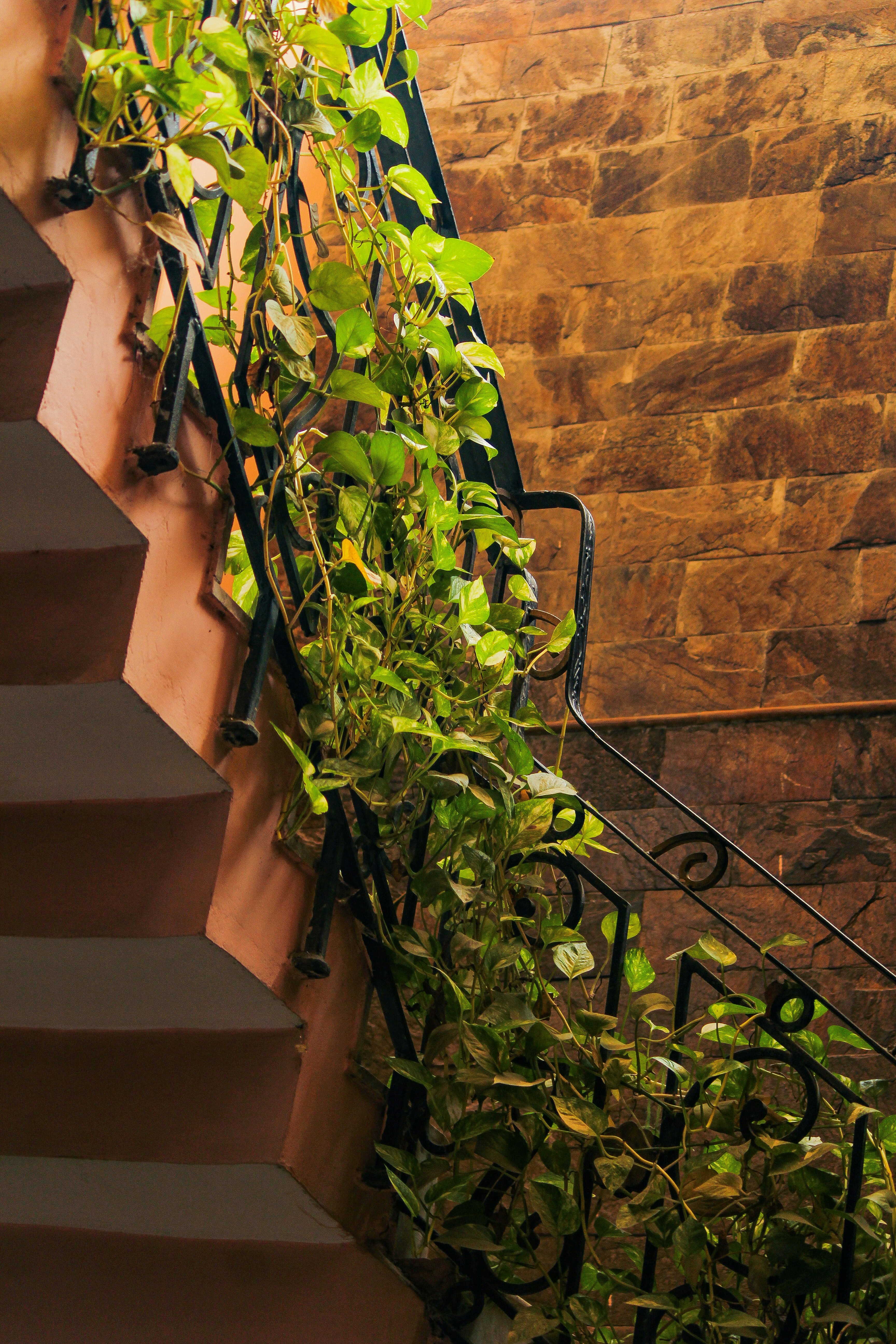 Photo by gupta_pranav28