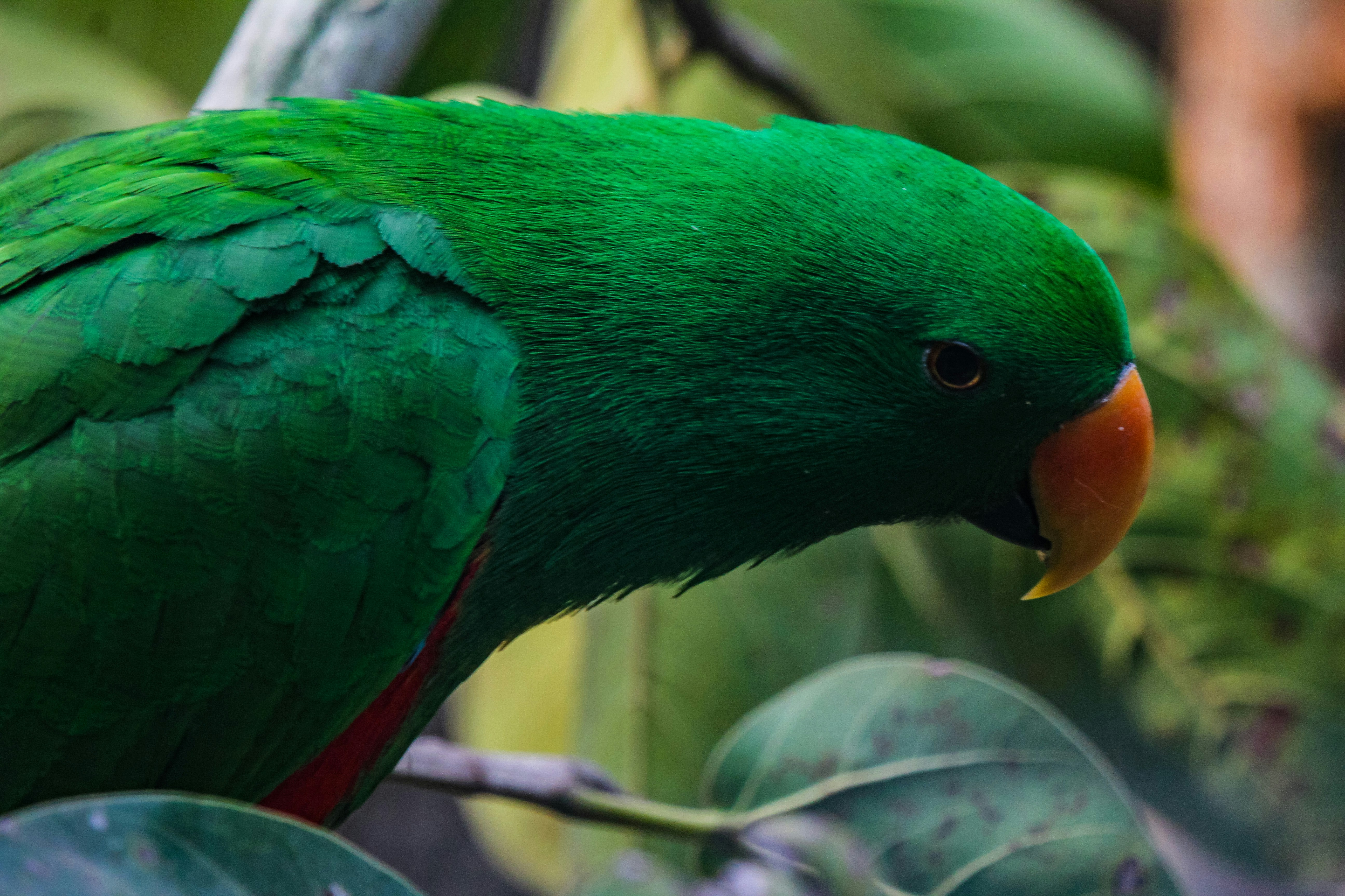 Photo by gupta_pranav28