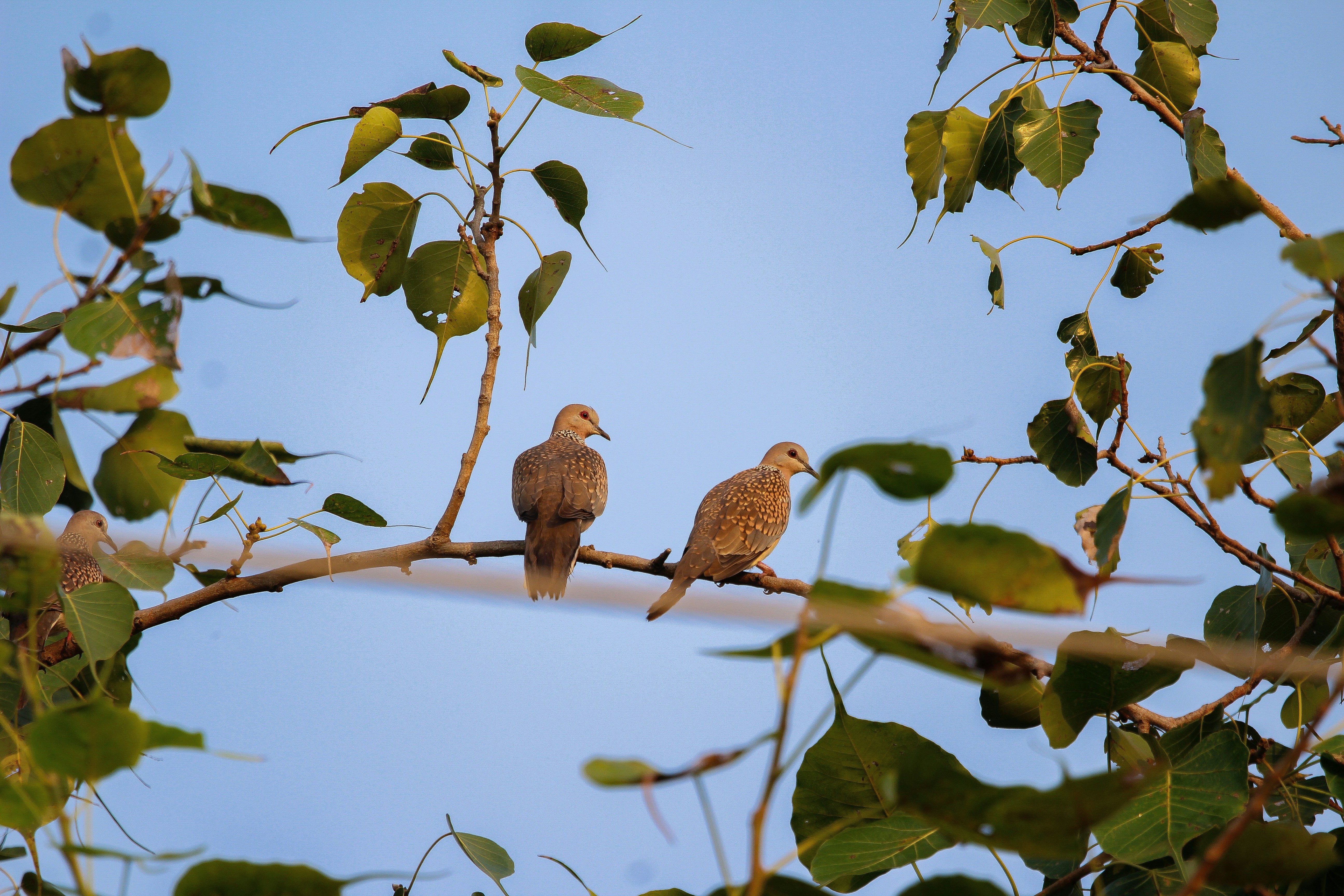 Photo by gupta_pranav28