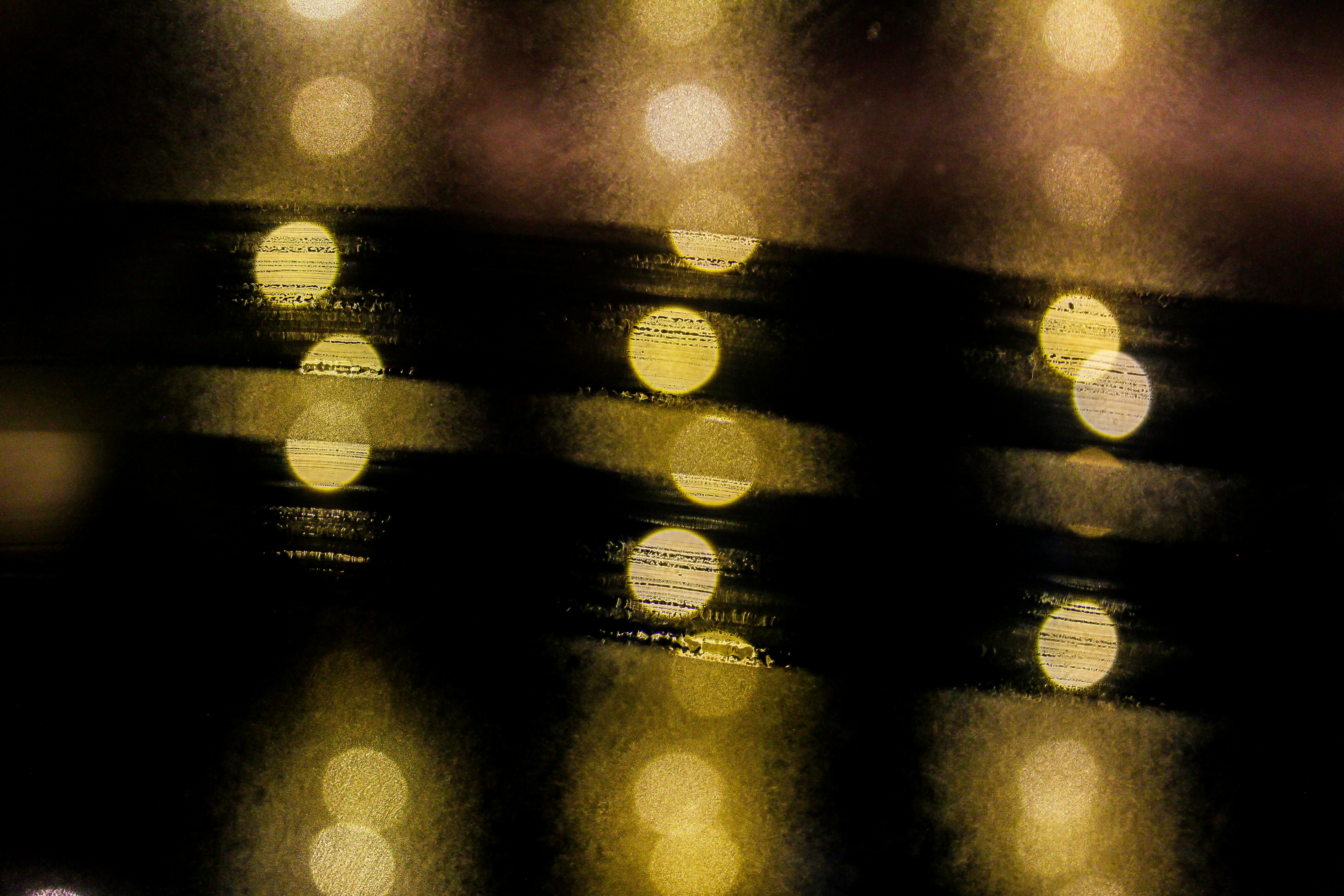 Photo by gupta_pranav28