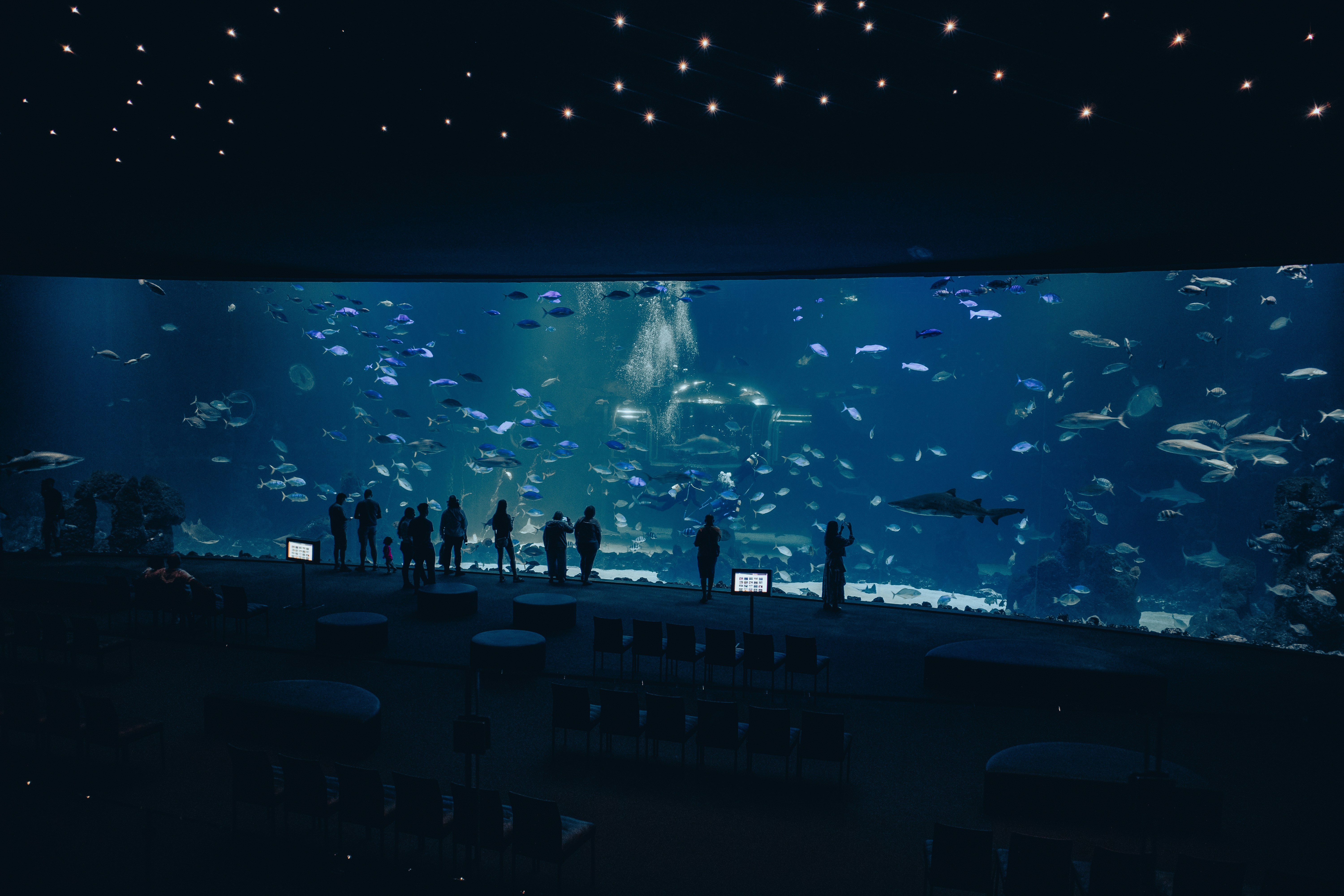 A group of people standing in front of a large aquarium
