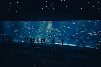 A group of people standing in front of a large aquarium