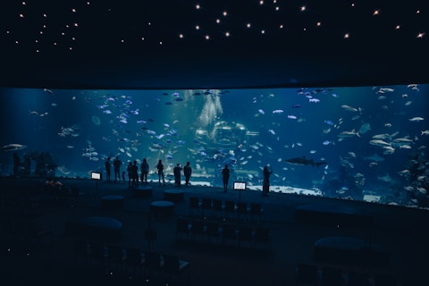 A group of people standing in front of a large aquarium