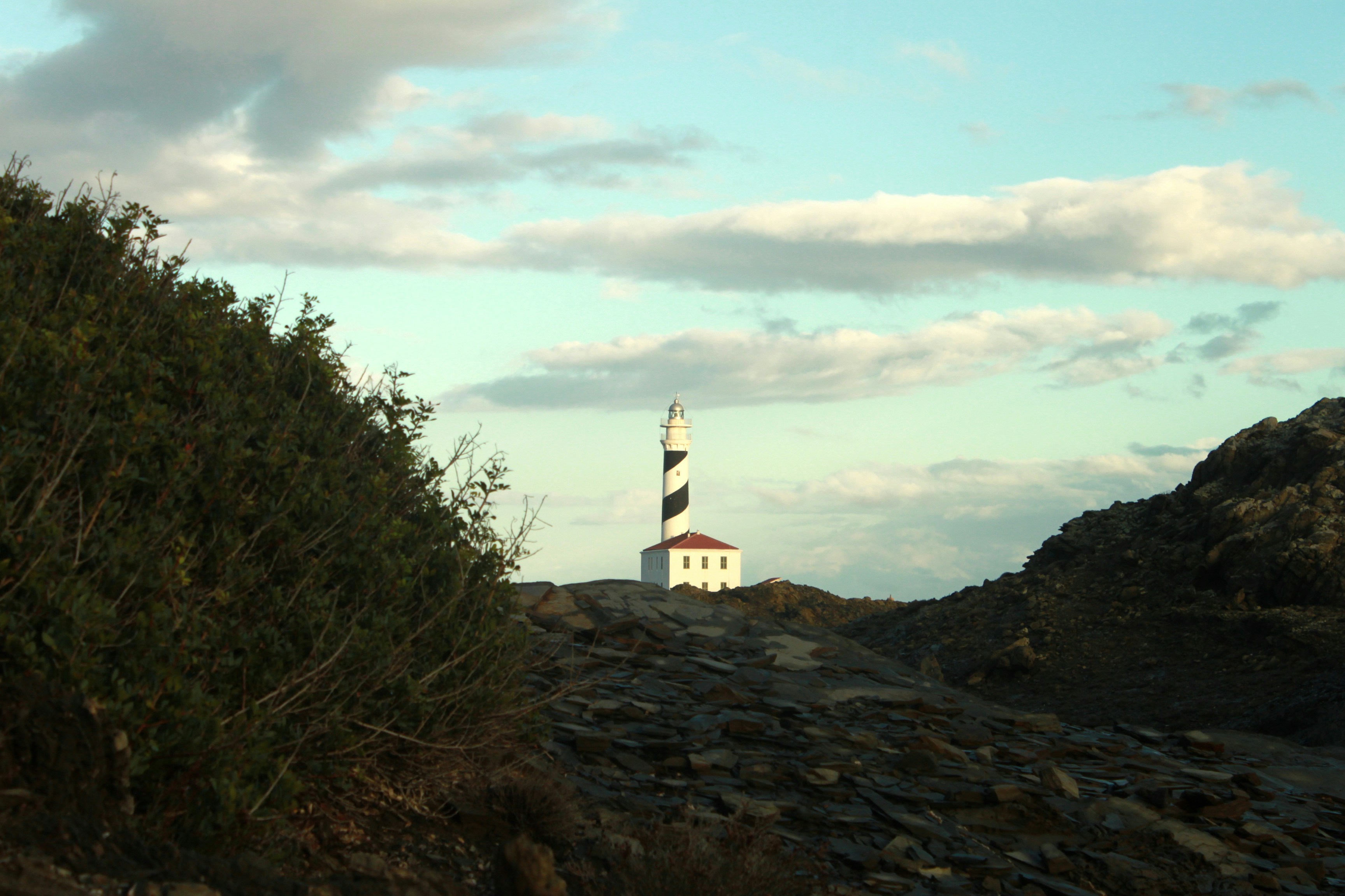 Photo by miguelbaixauli