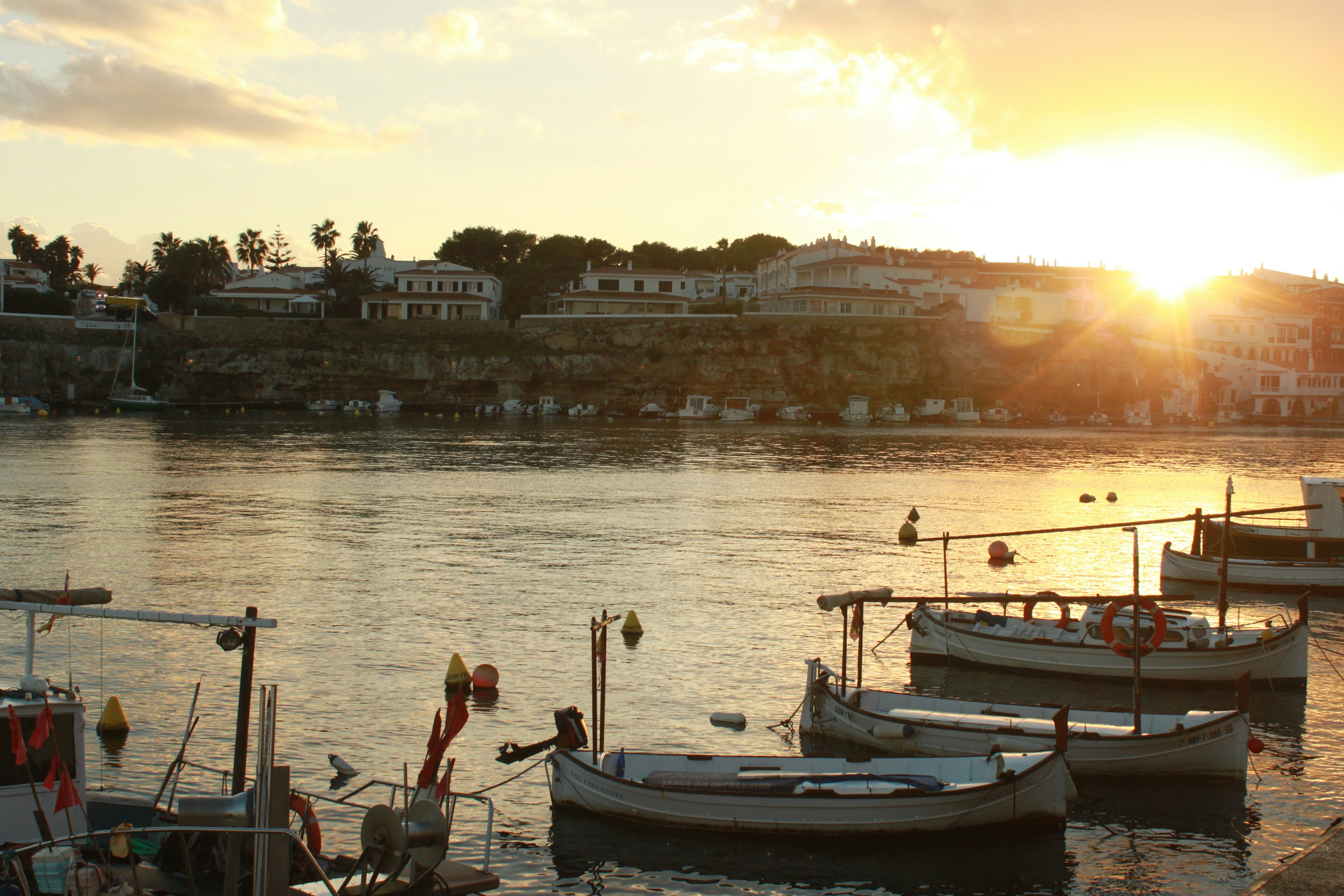 Photo by miguelbaixauli