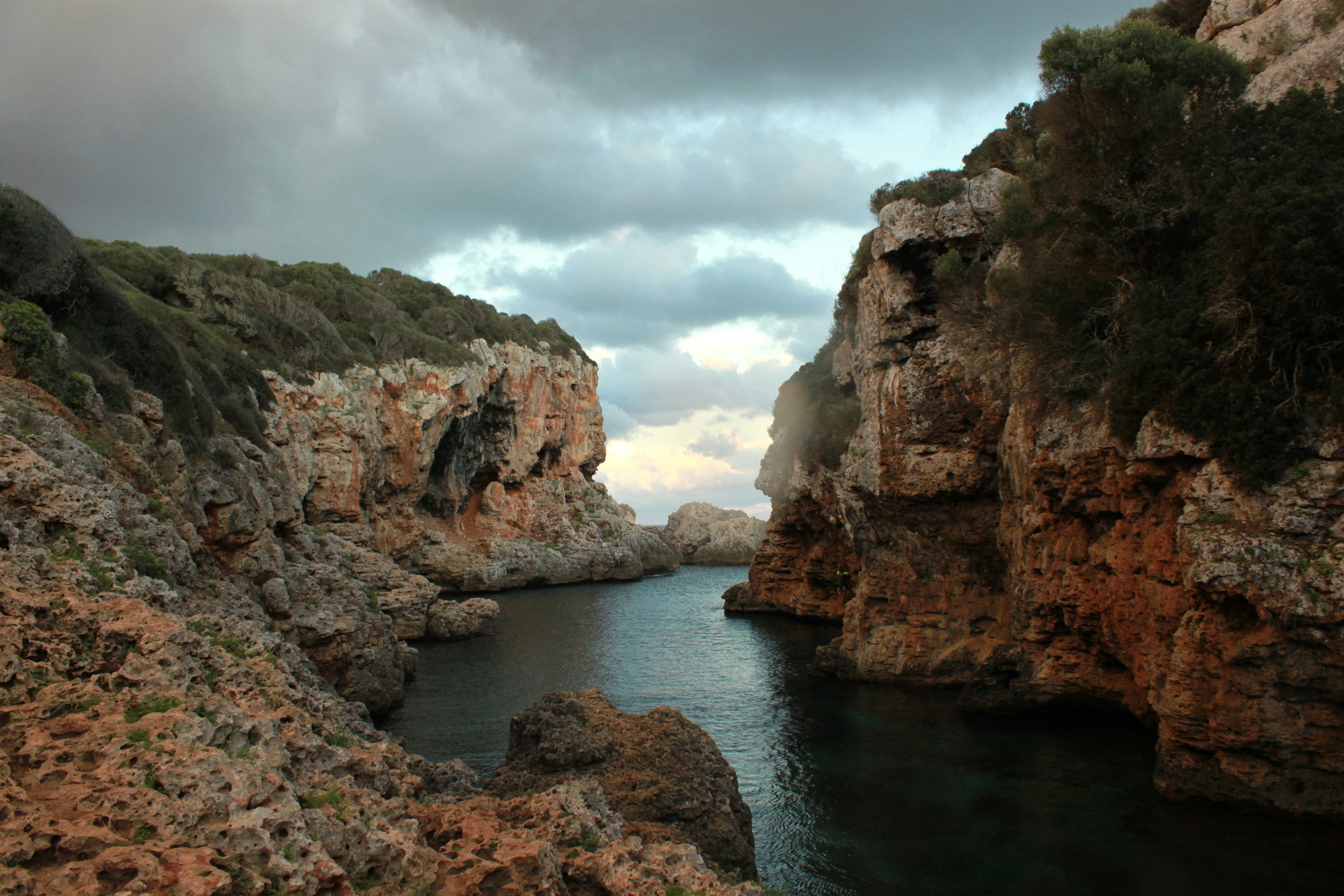 Photo by miguelbaixauli