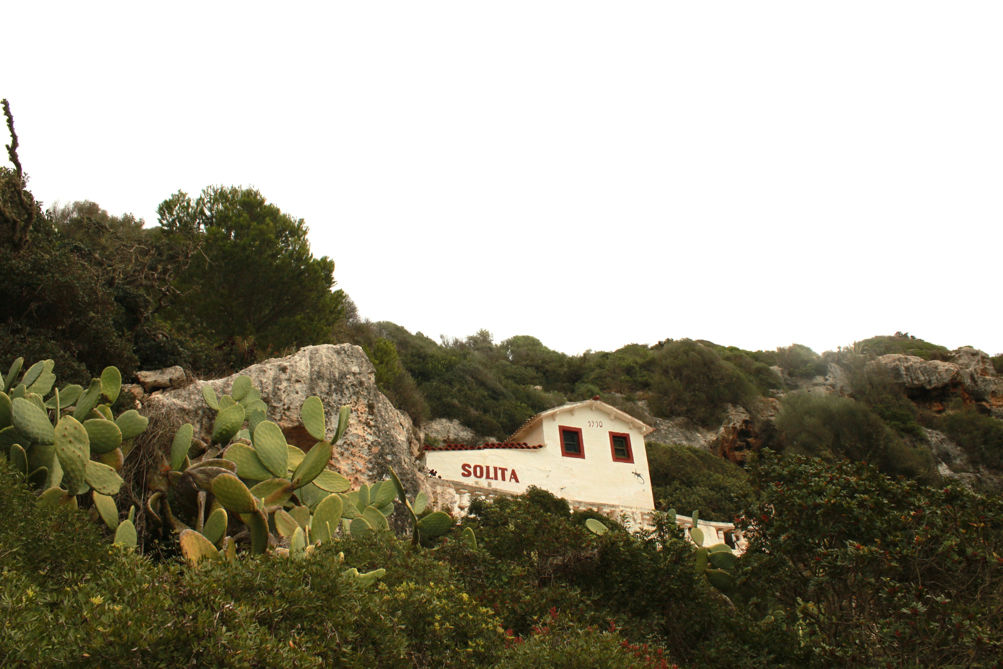 Photo by miguelbaixauli