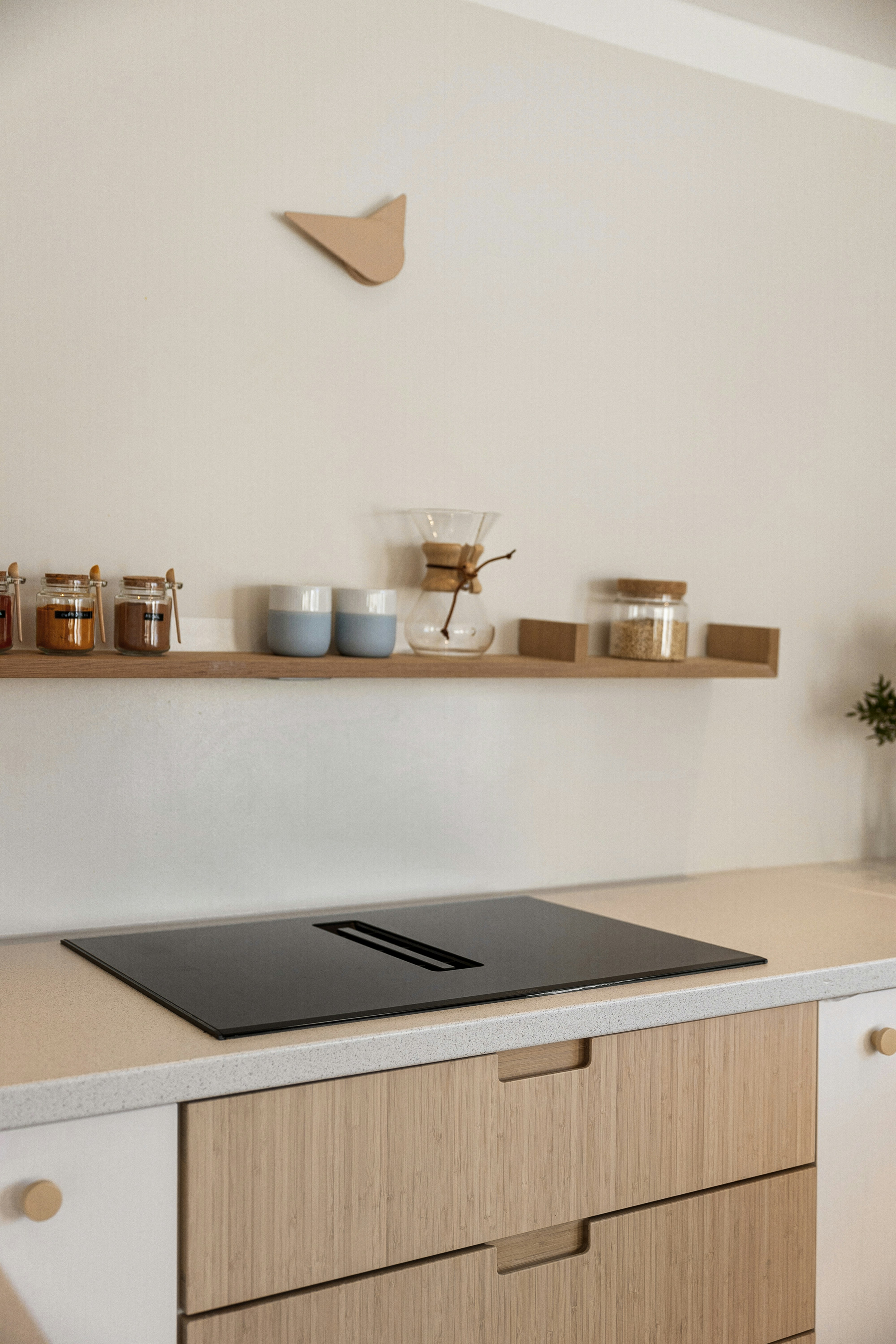 Photo by alextyson195