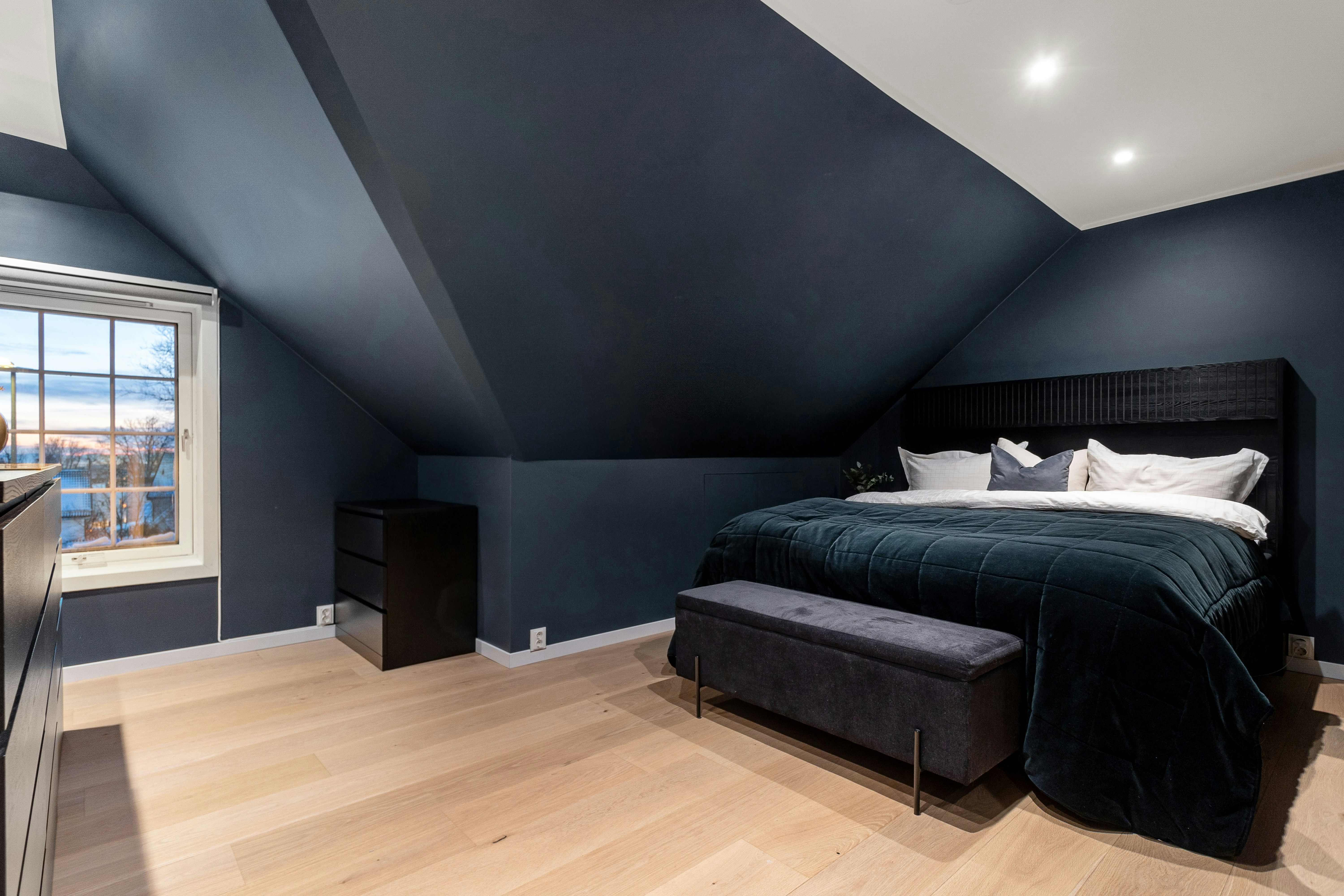 spacious attic master bedroom with built-in storage and skylights