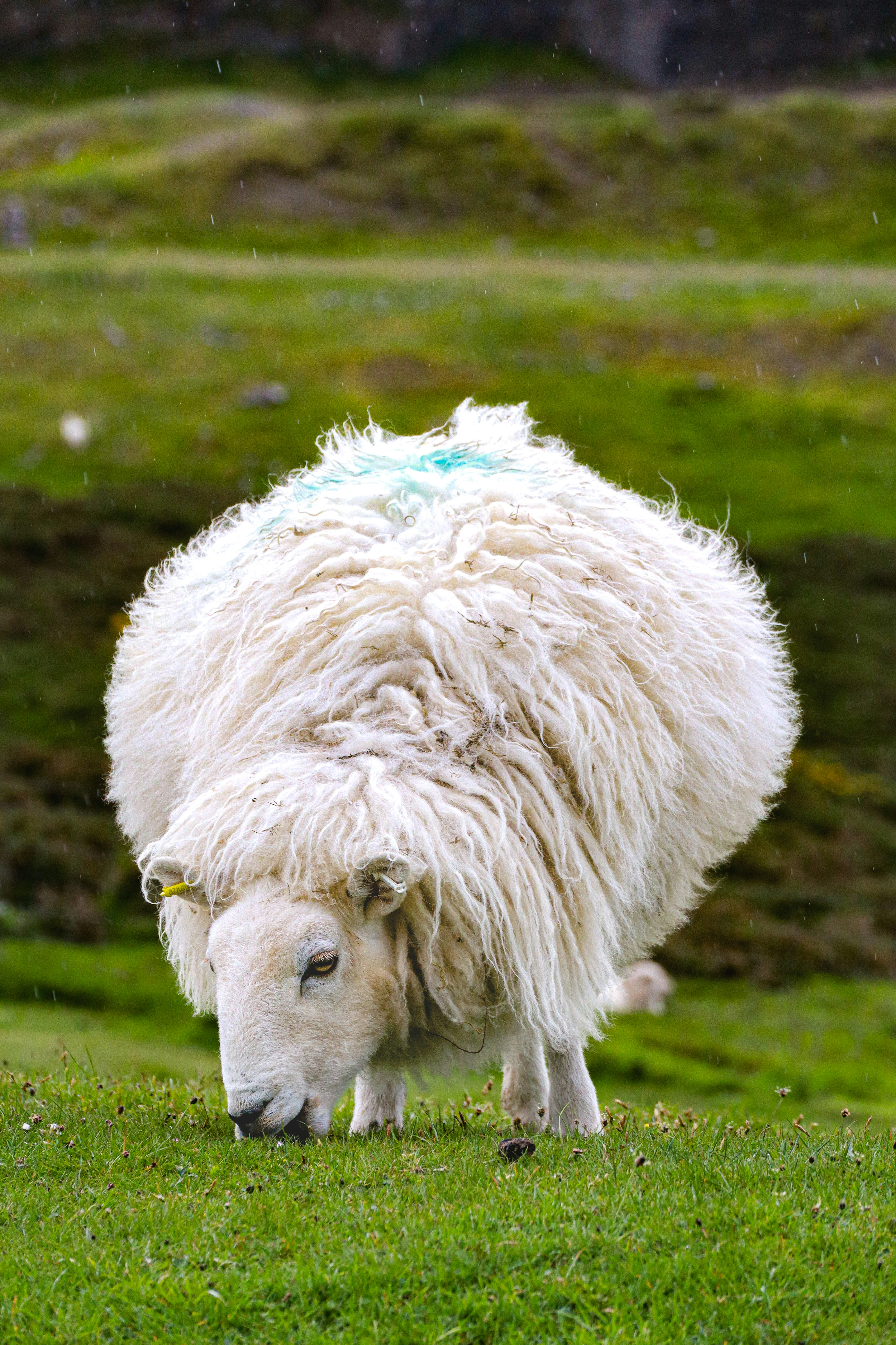 Photo by rhianna_maguire