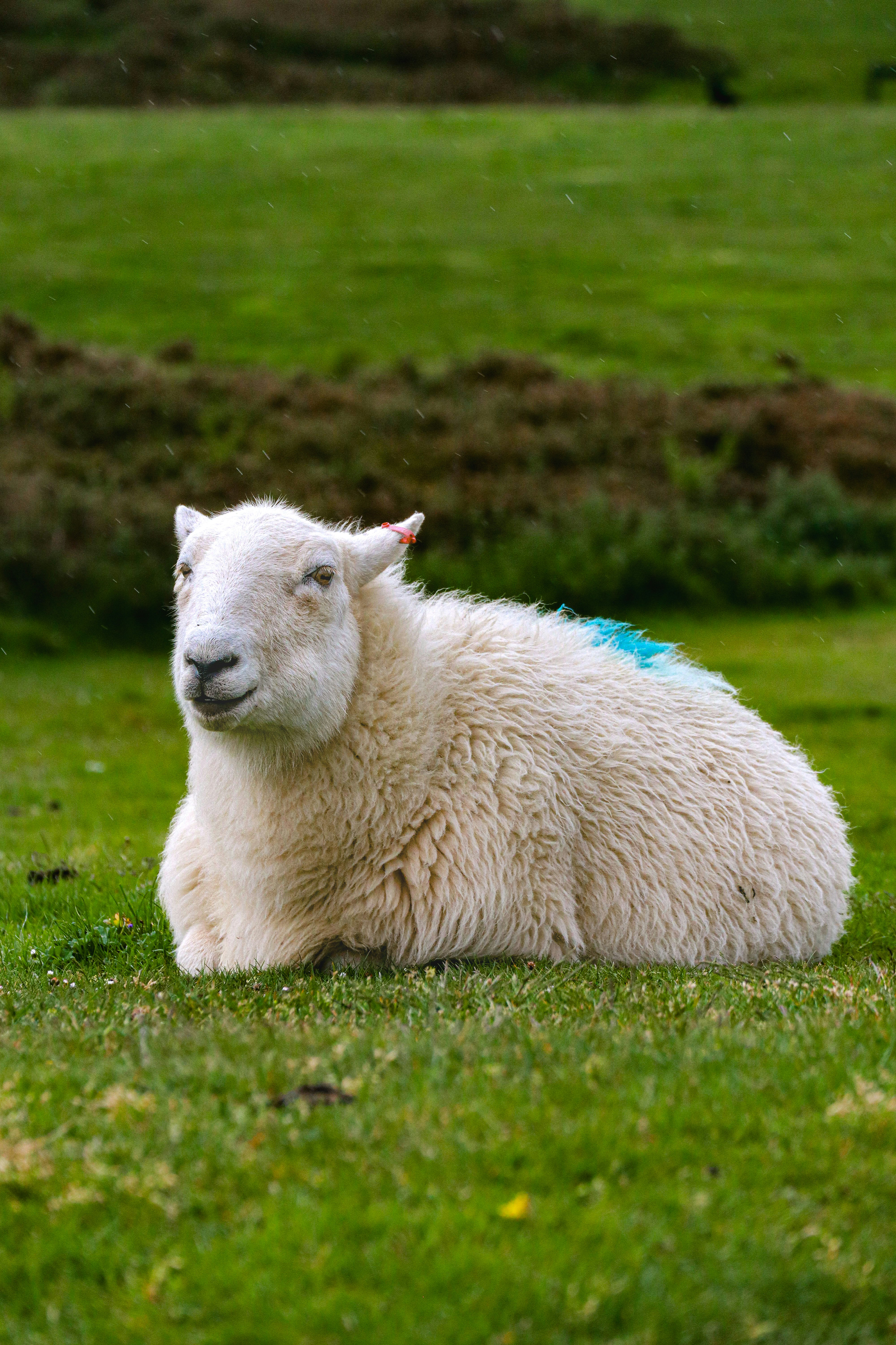 Photo by rhianna_maguire