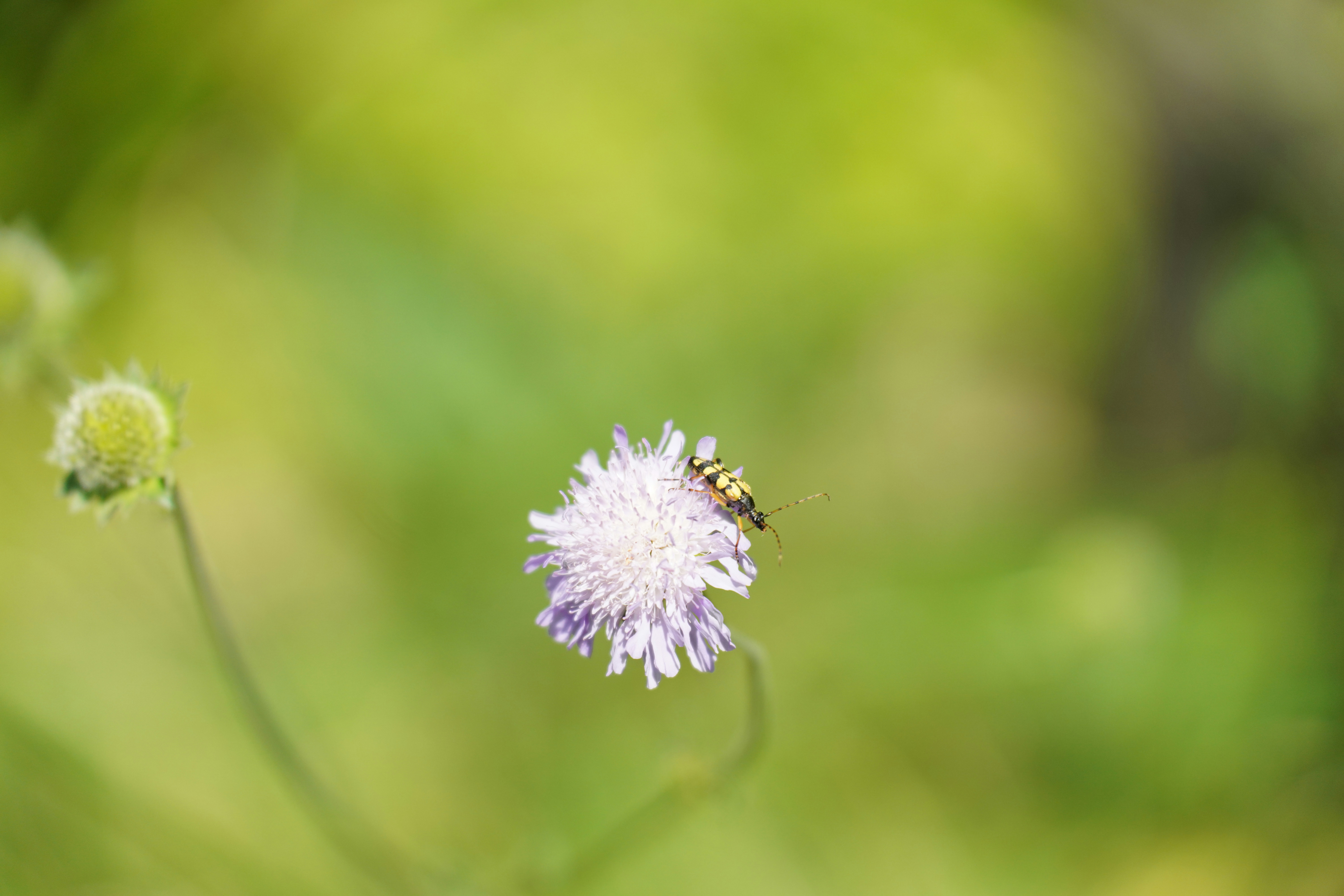 Photo by andreas_schnabl