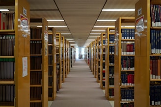 A long row of shelves filled with lots of books