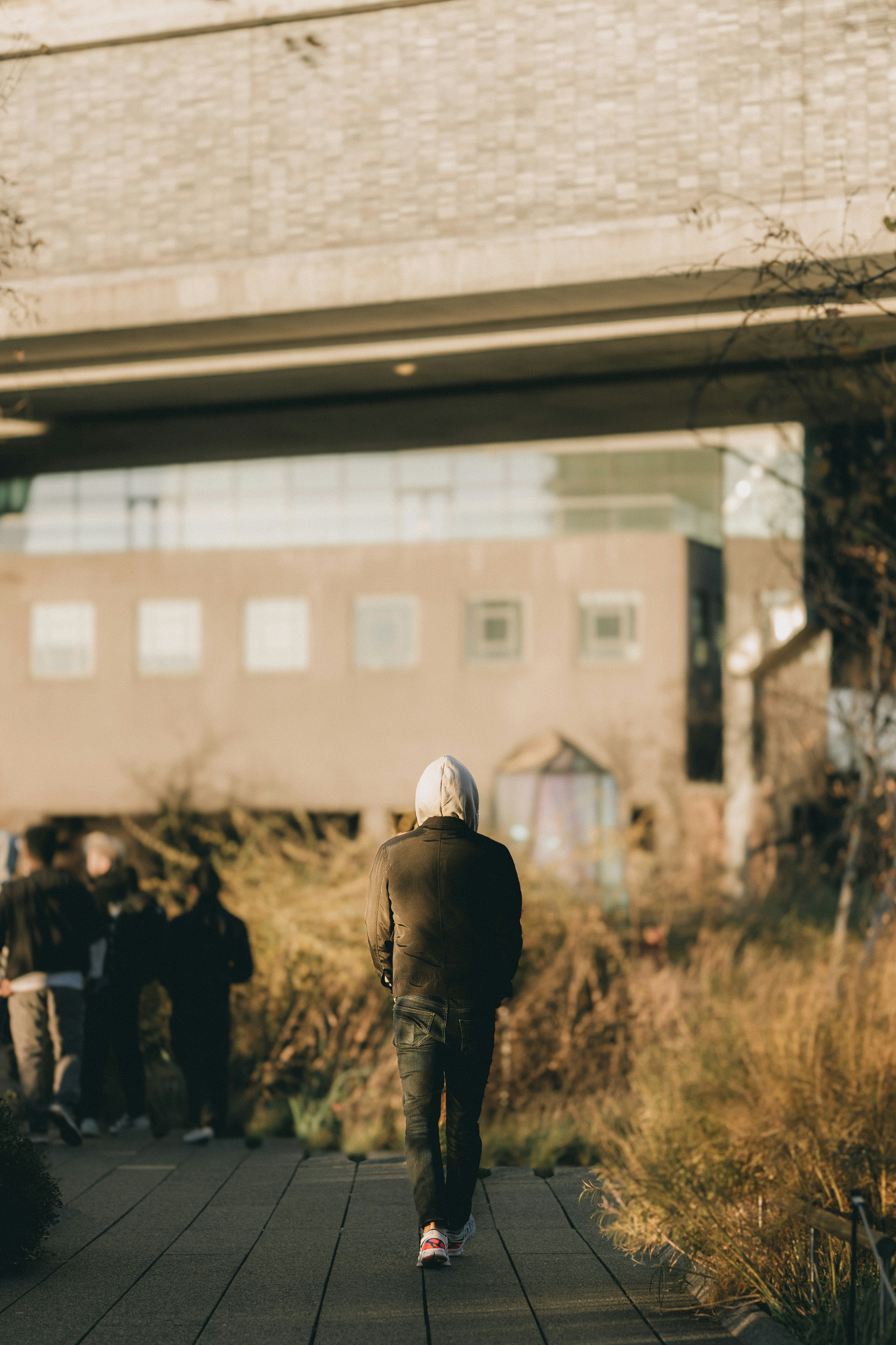 A man walking down a sidewalk next to tall grass