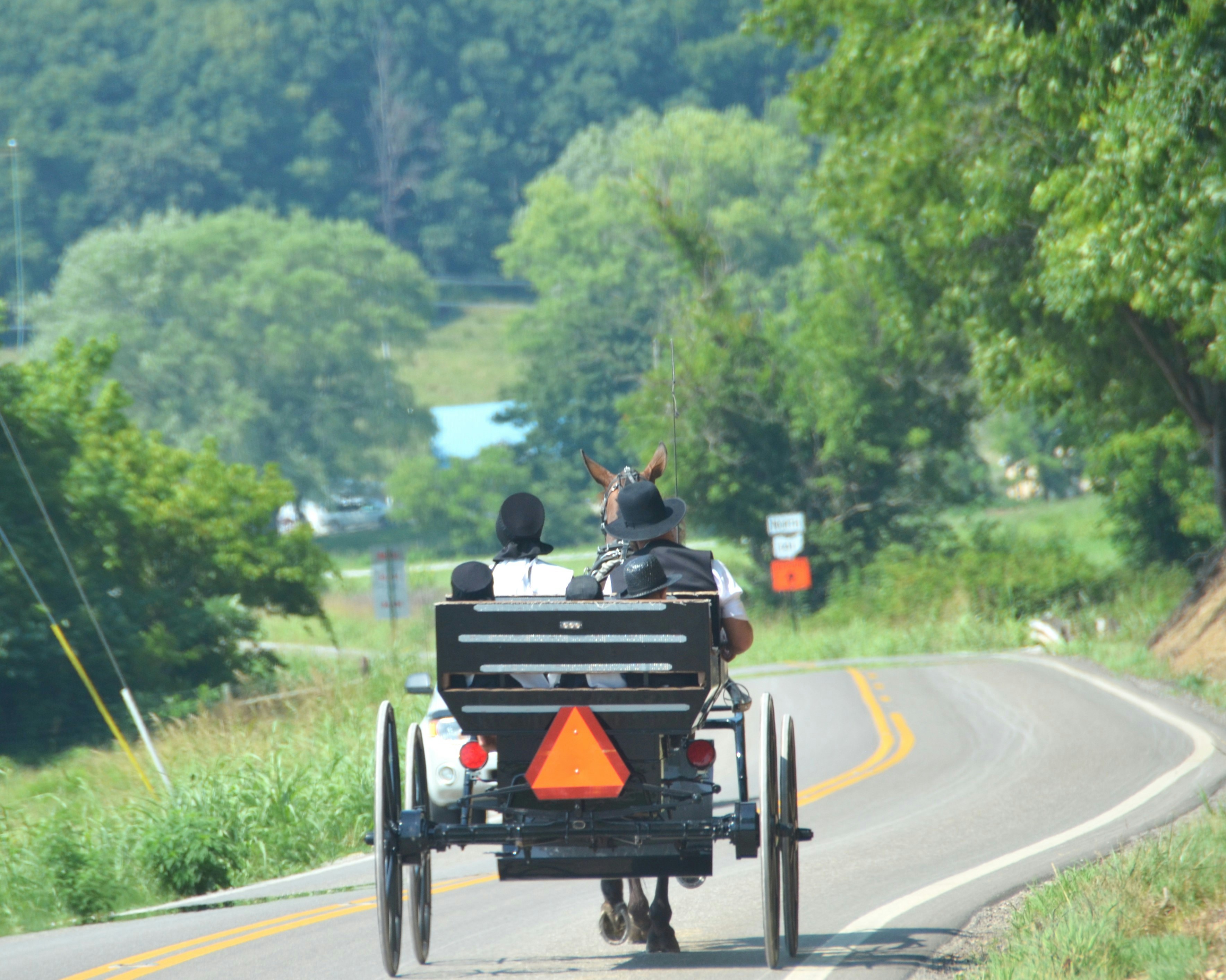 A horse drawn carriage traveling down a country road