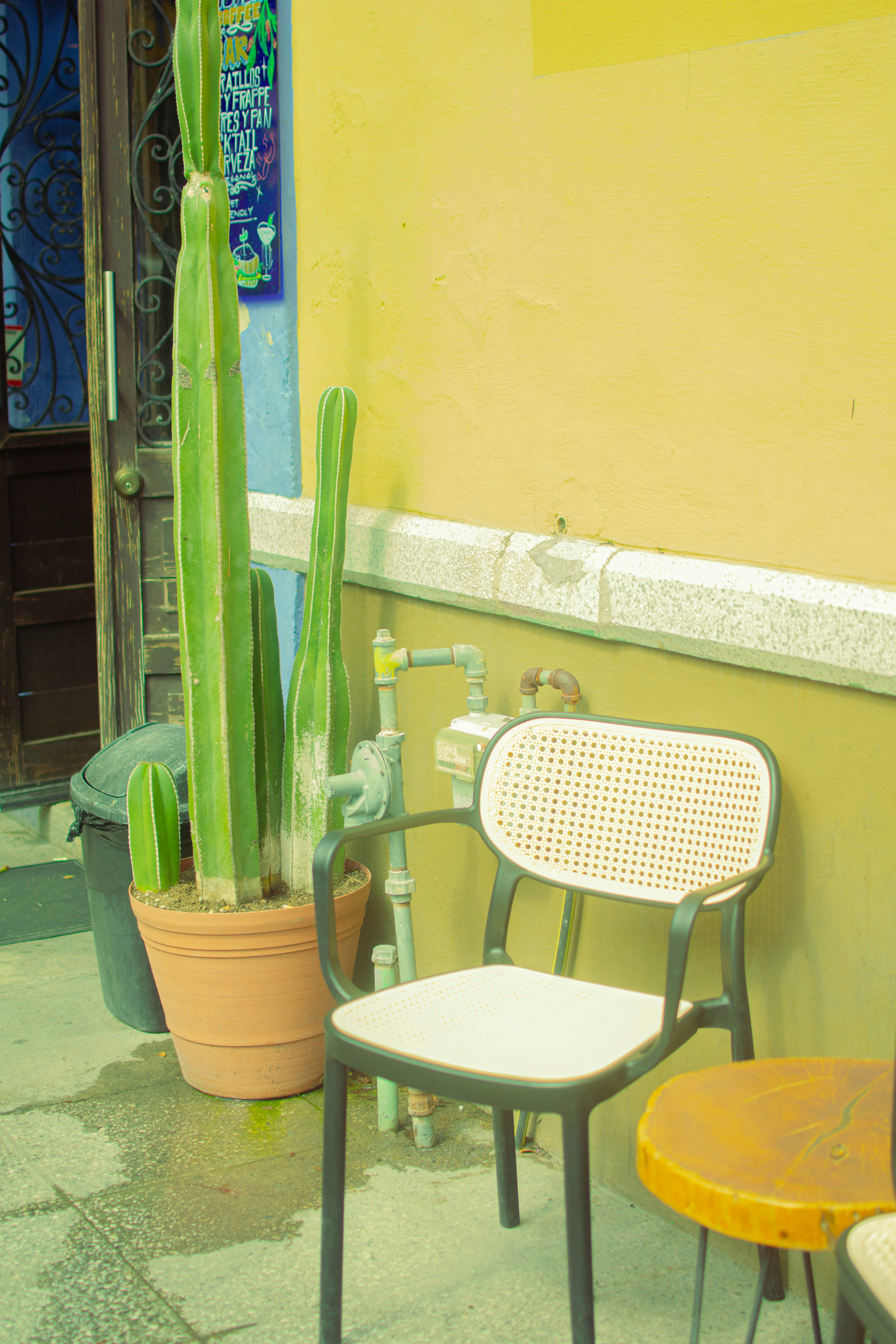 Photo by han_mon_jamon