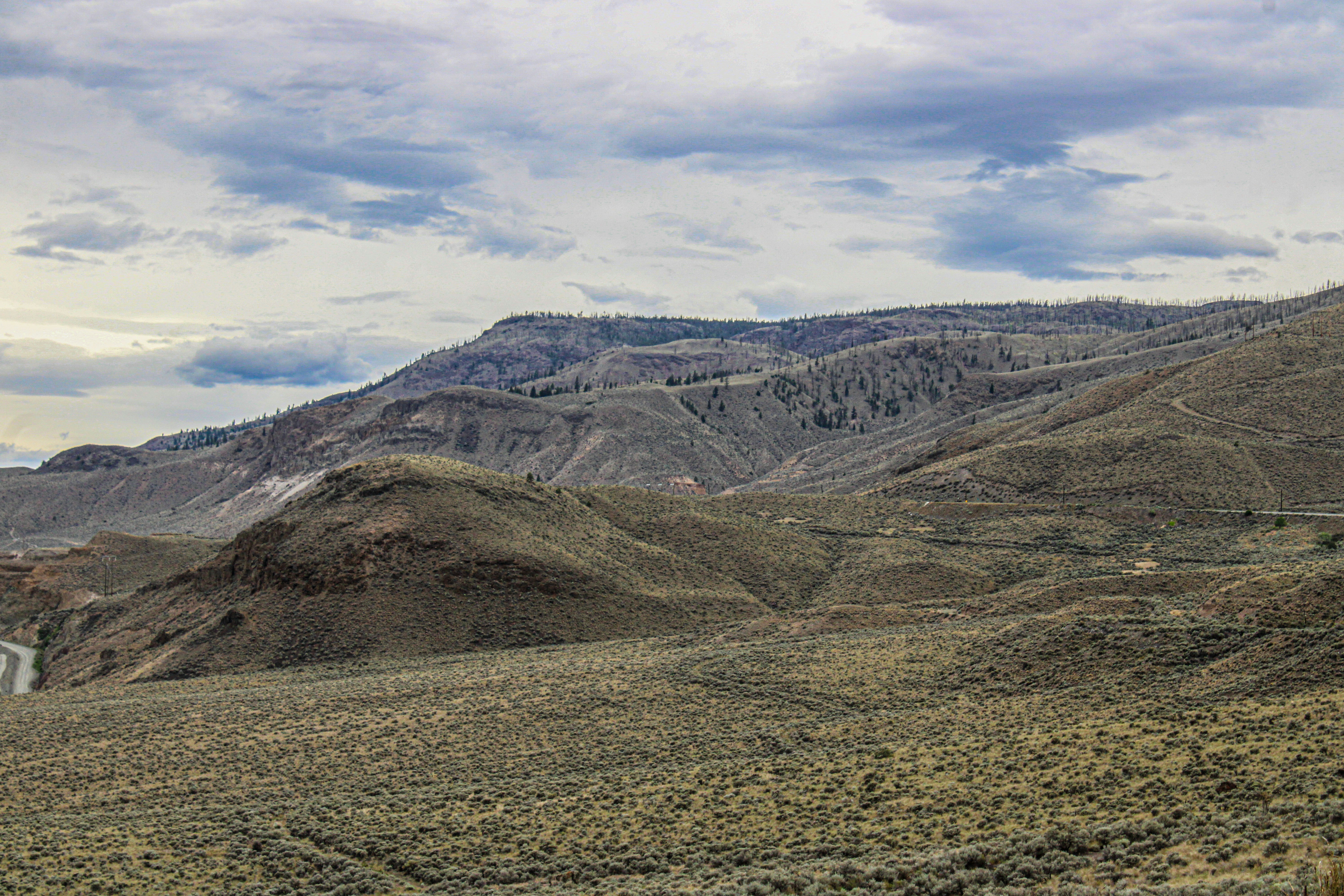 Photo by prphotography262