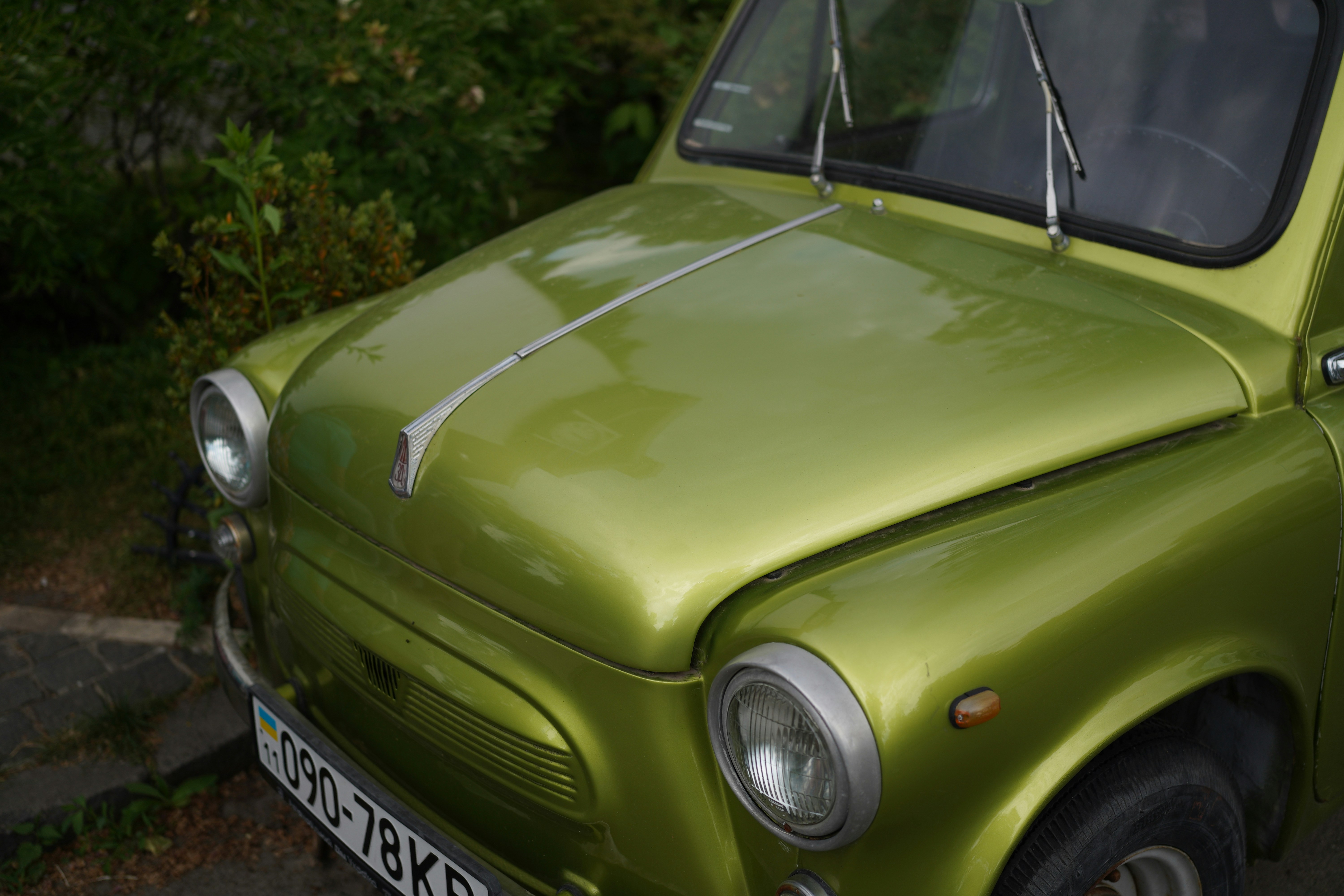 Photo by kateivanova__