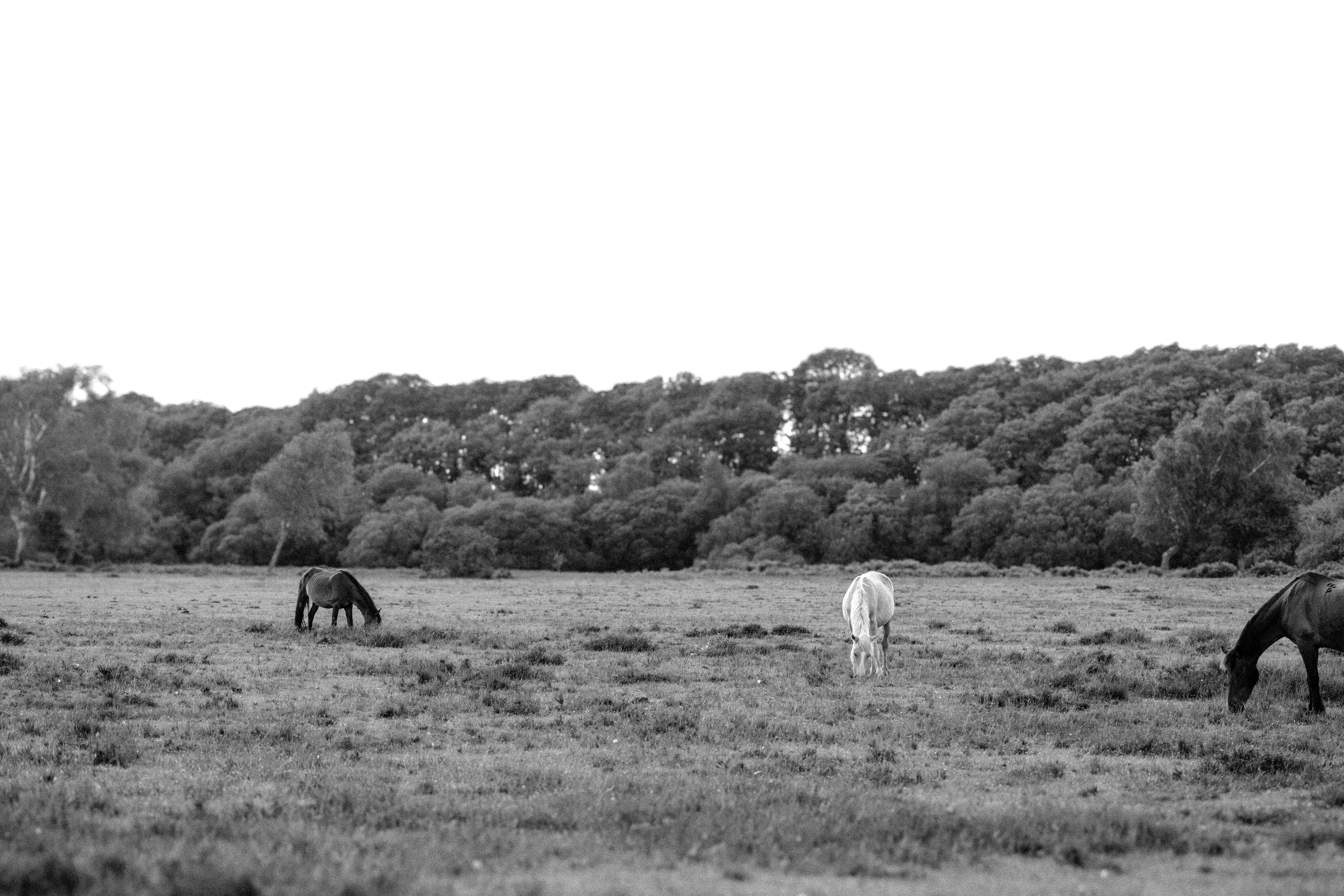 Photo by anniespratt