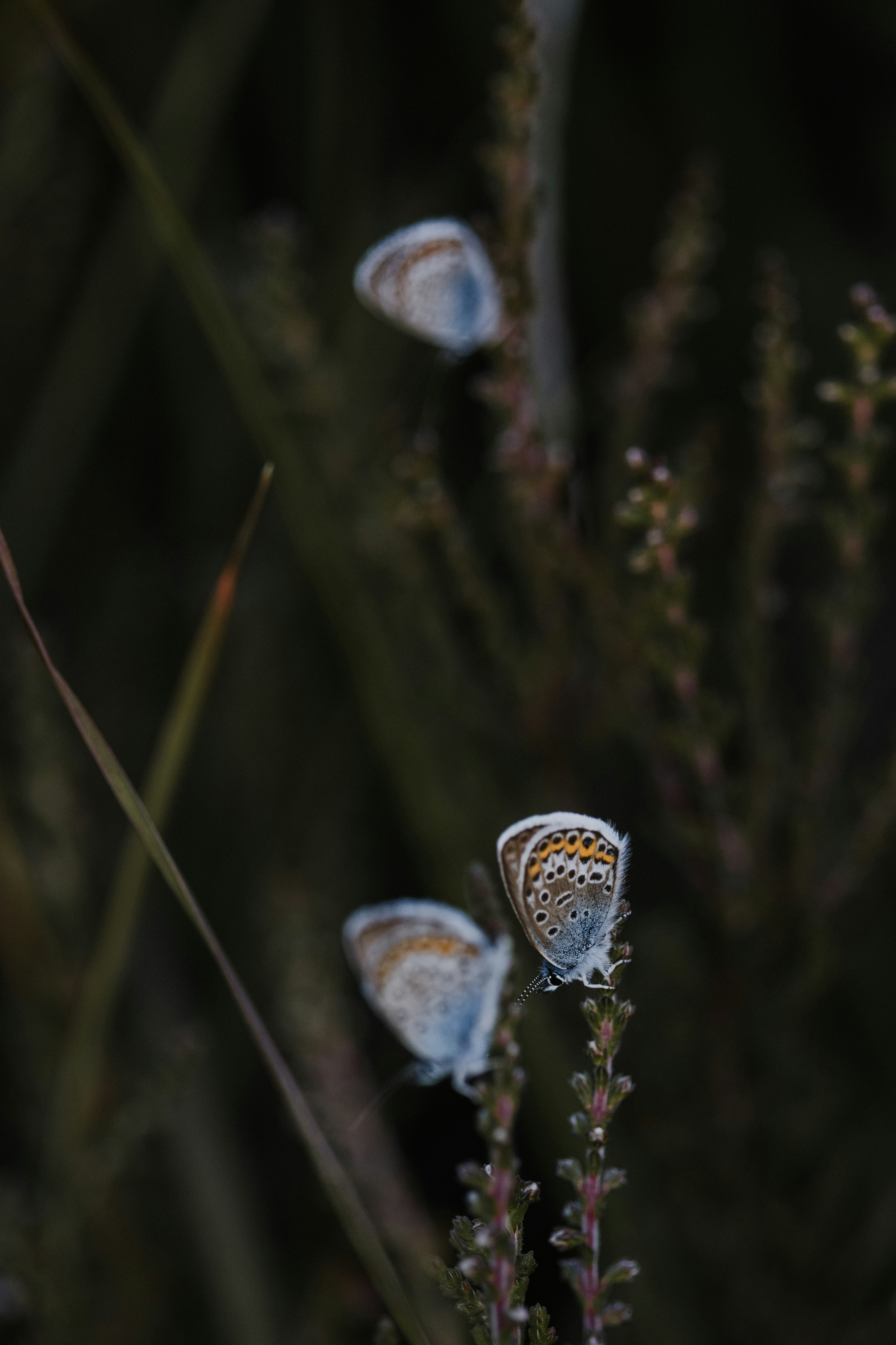 Photo by anniespratt