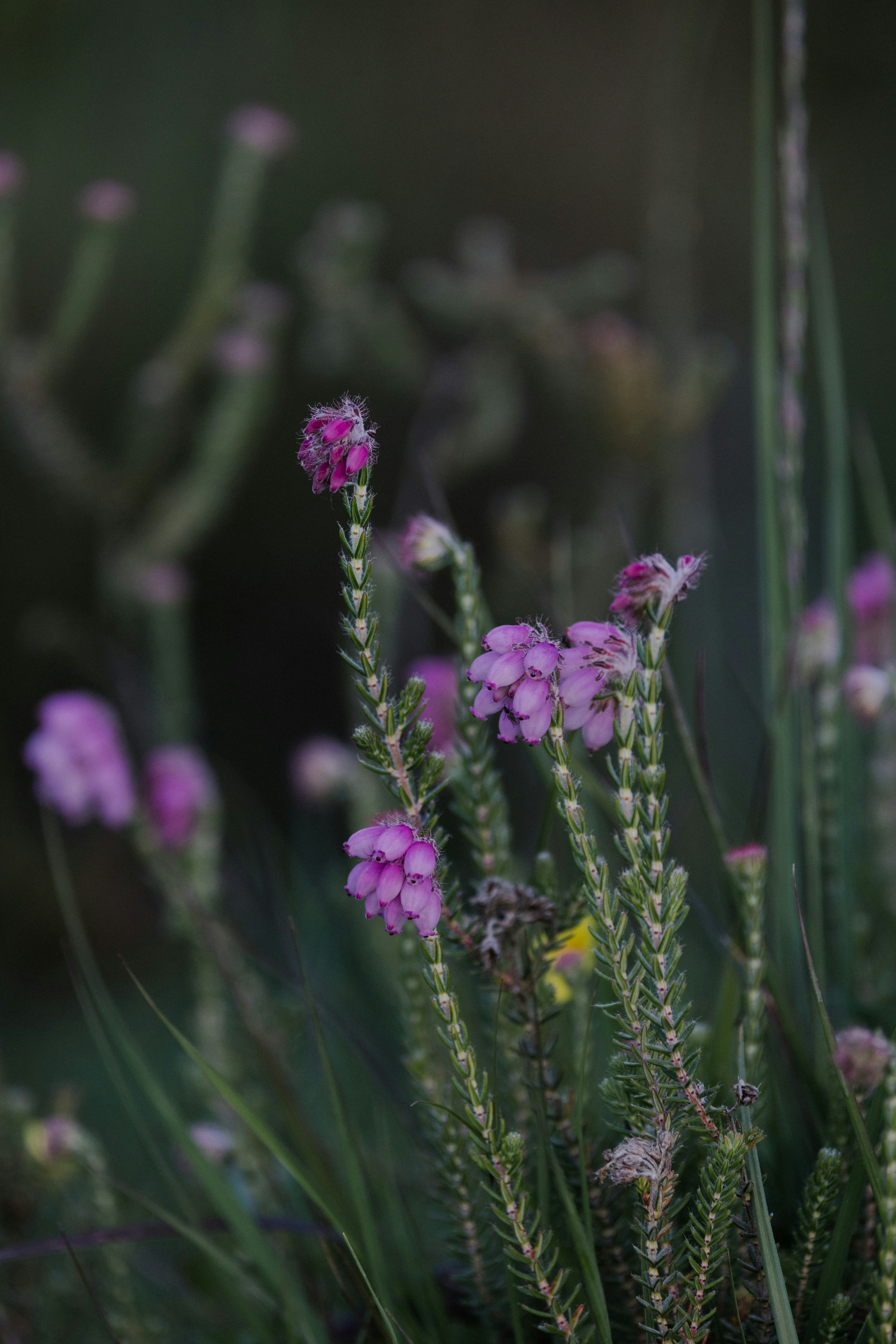 Photo by anniespratt