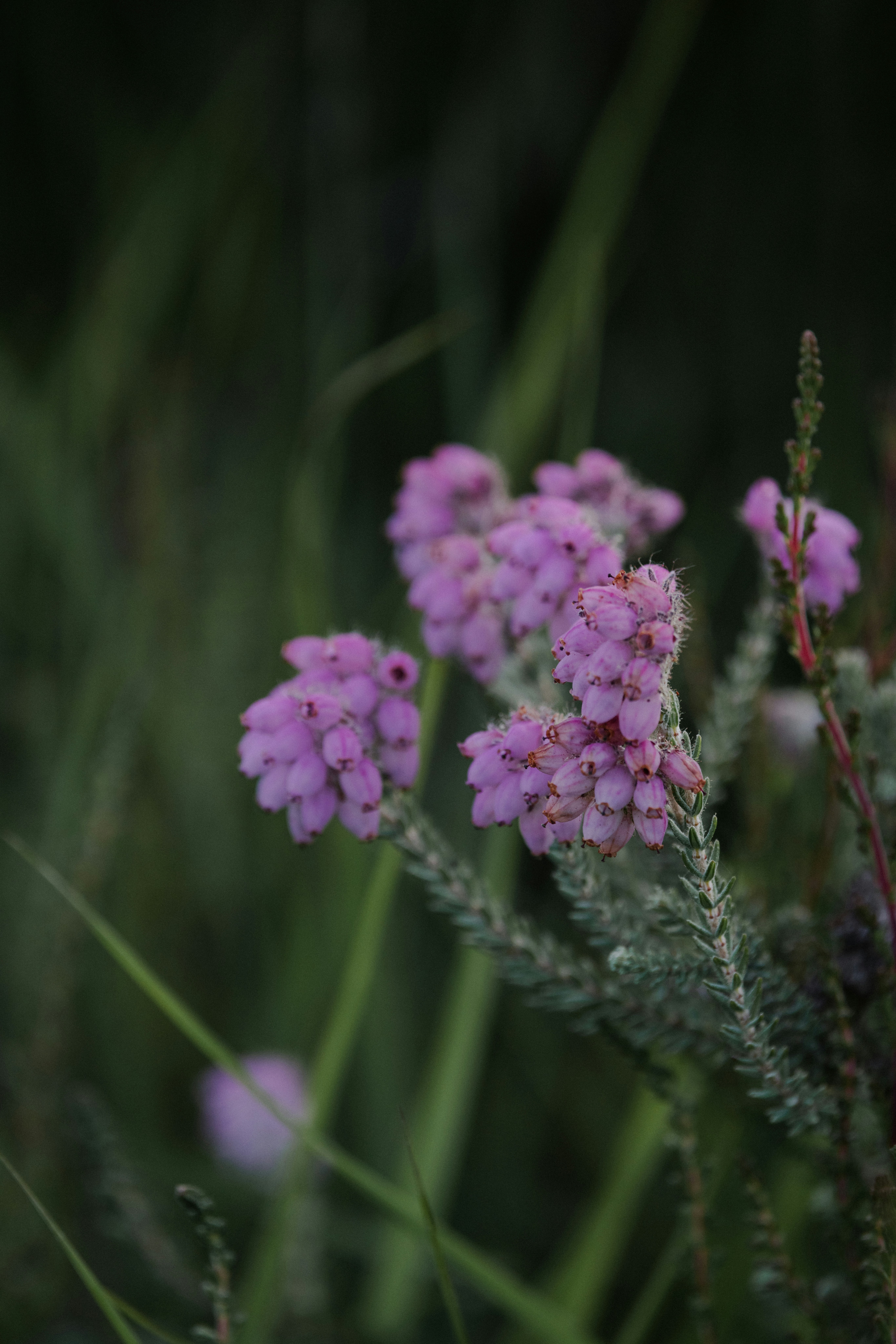 Photo by anniespratt