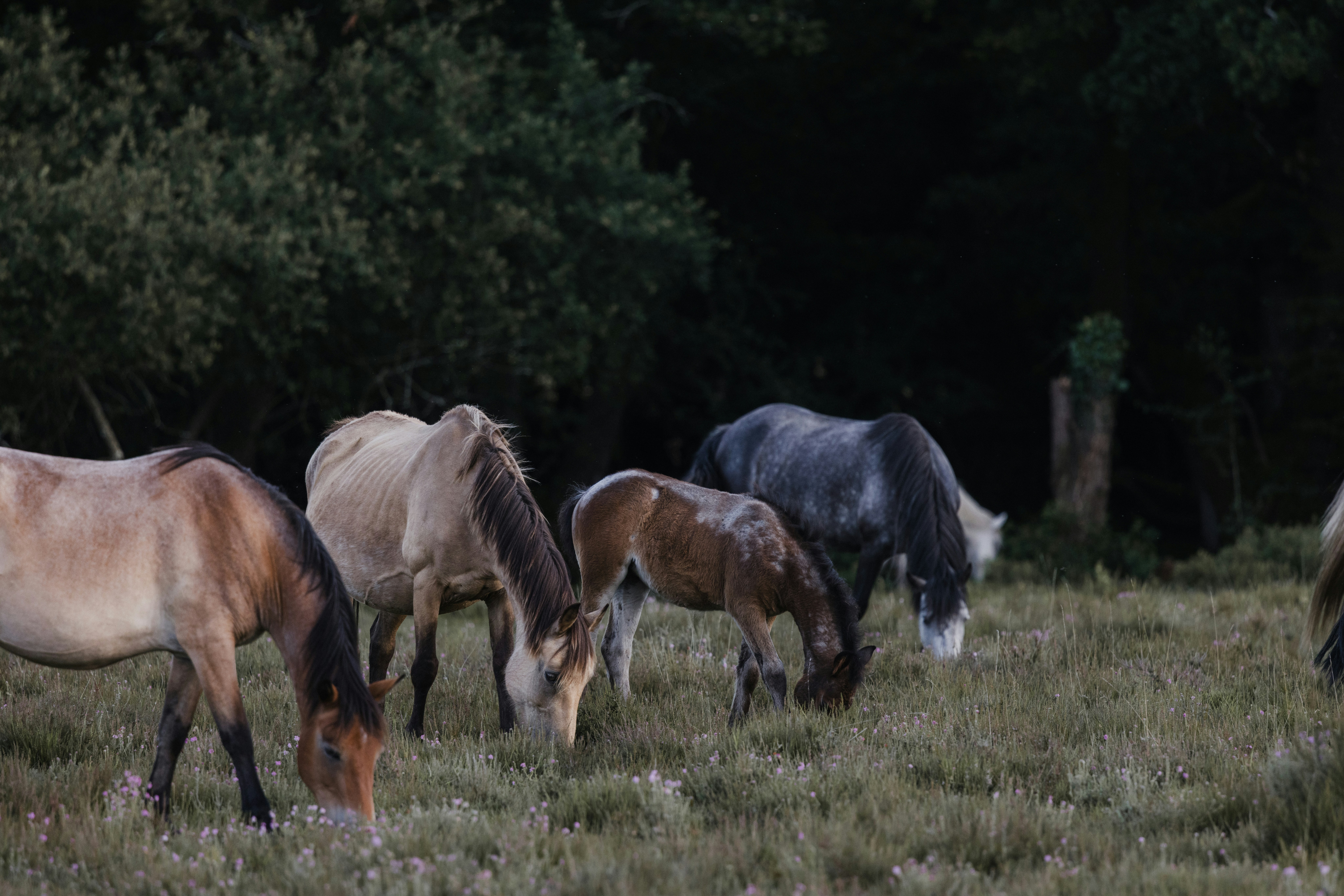 Photo by anniespratt