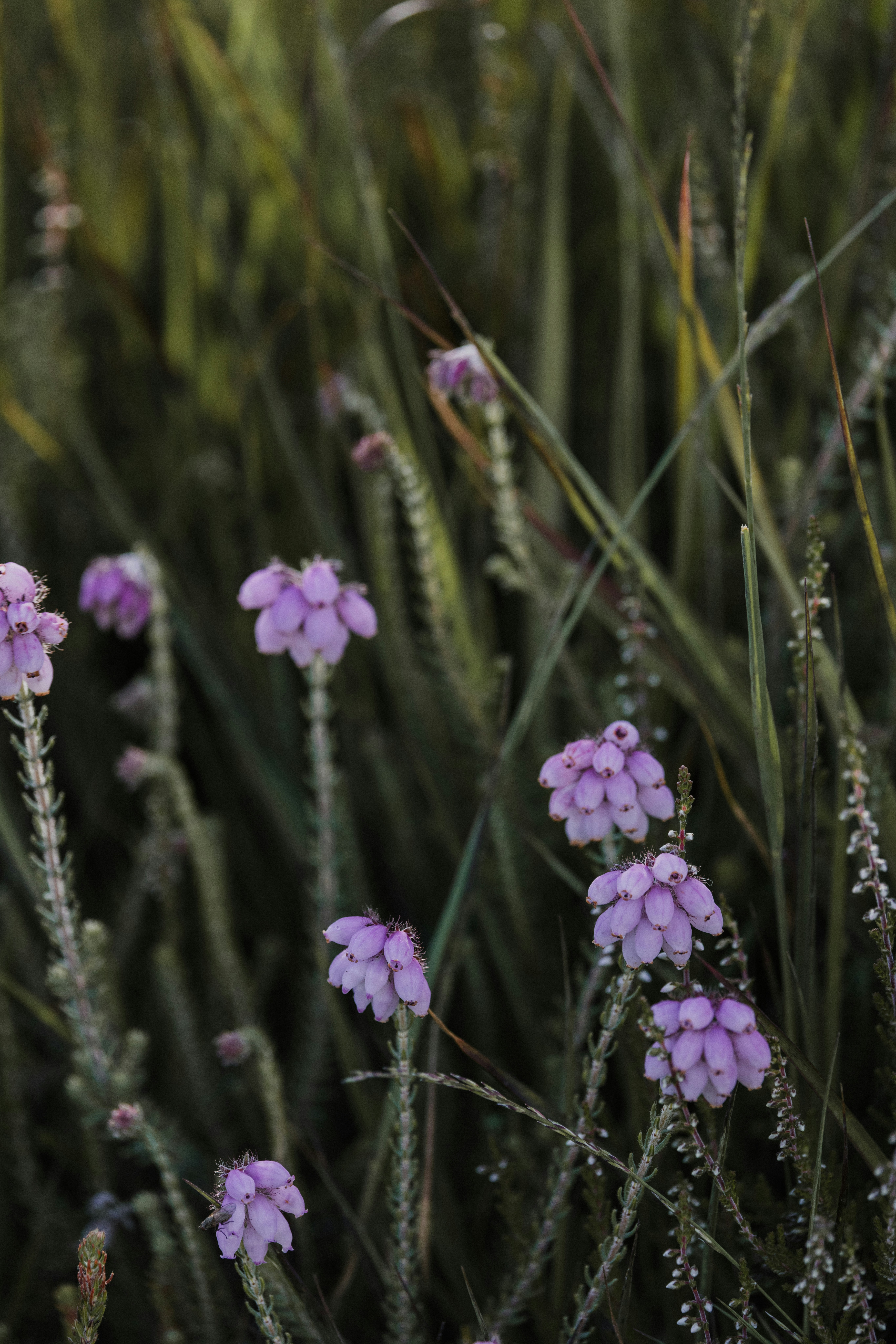 Photo by anniespratt