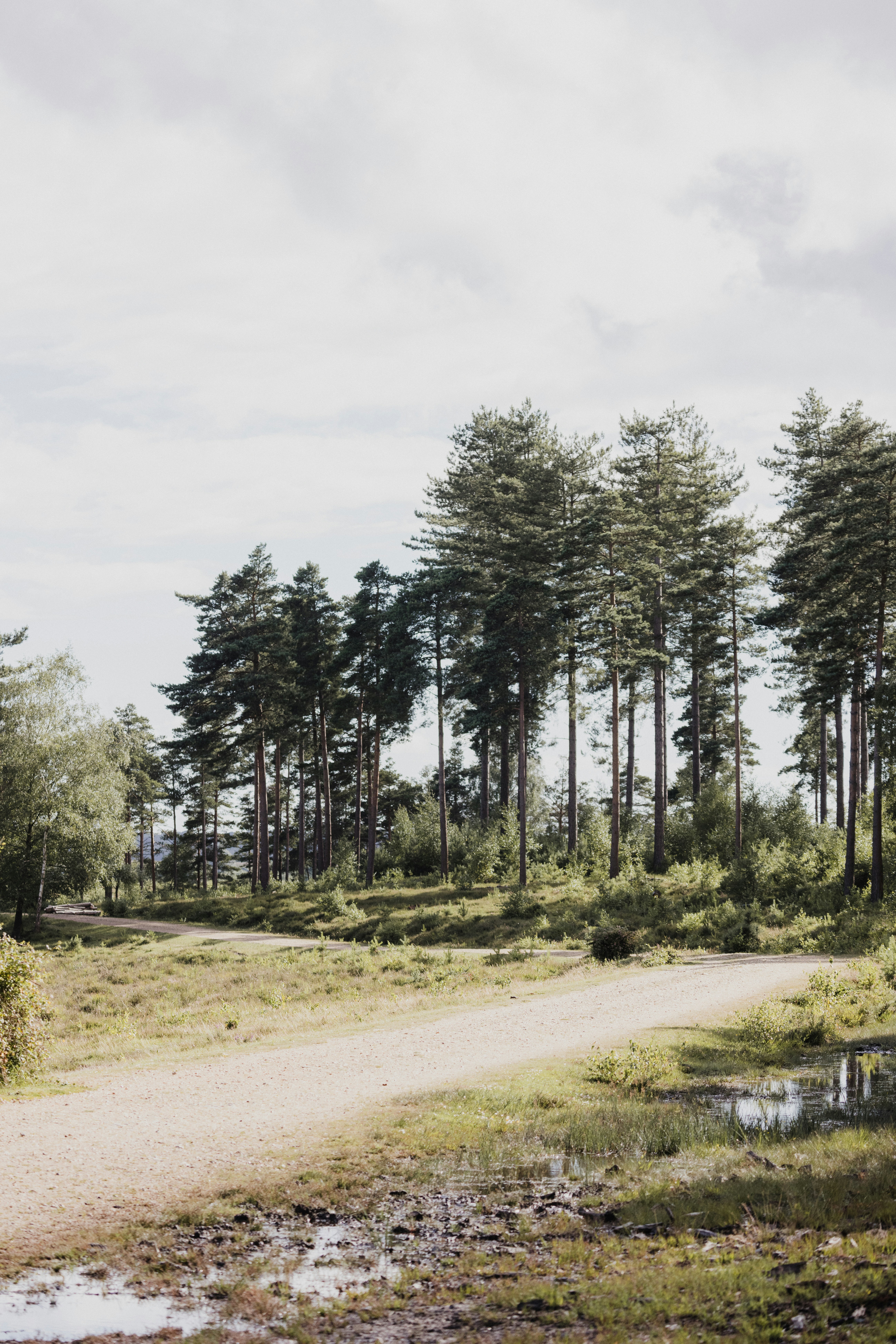 Photo by anniespratt