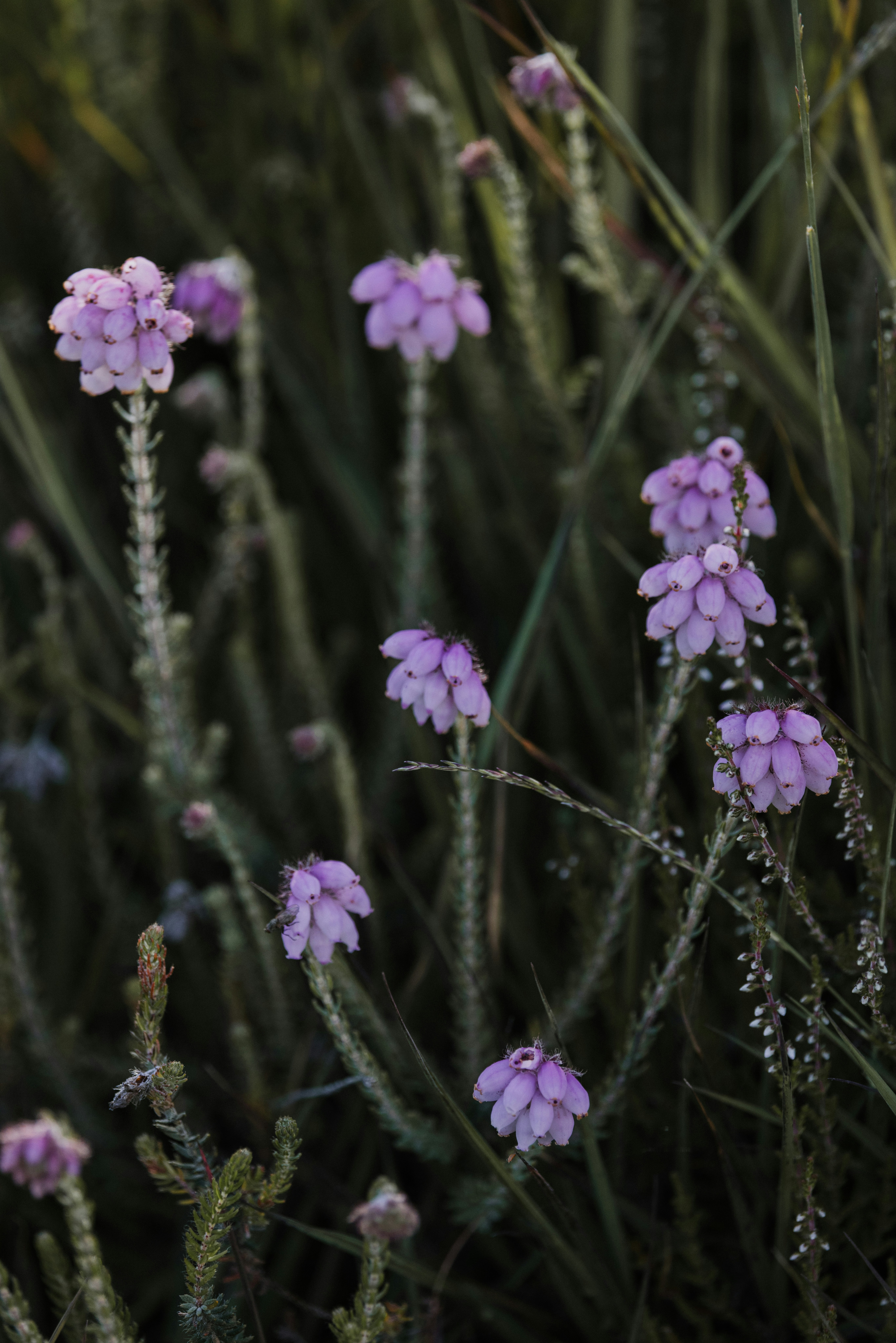 Photo by anniespratt