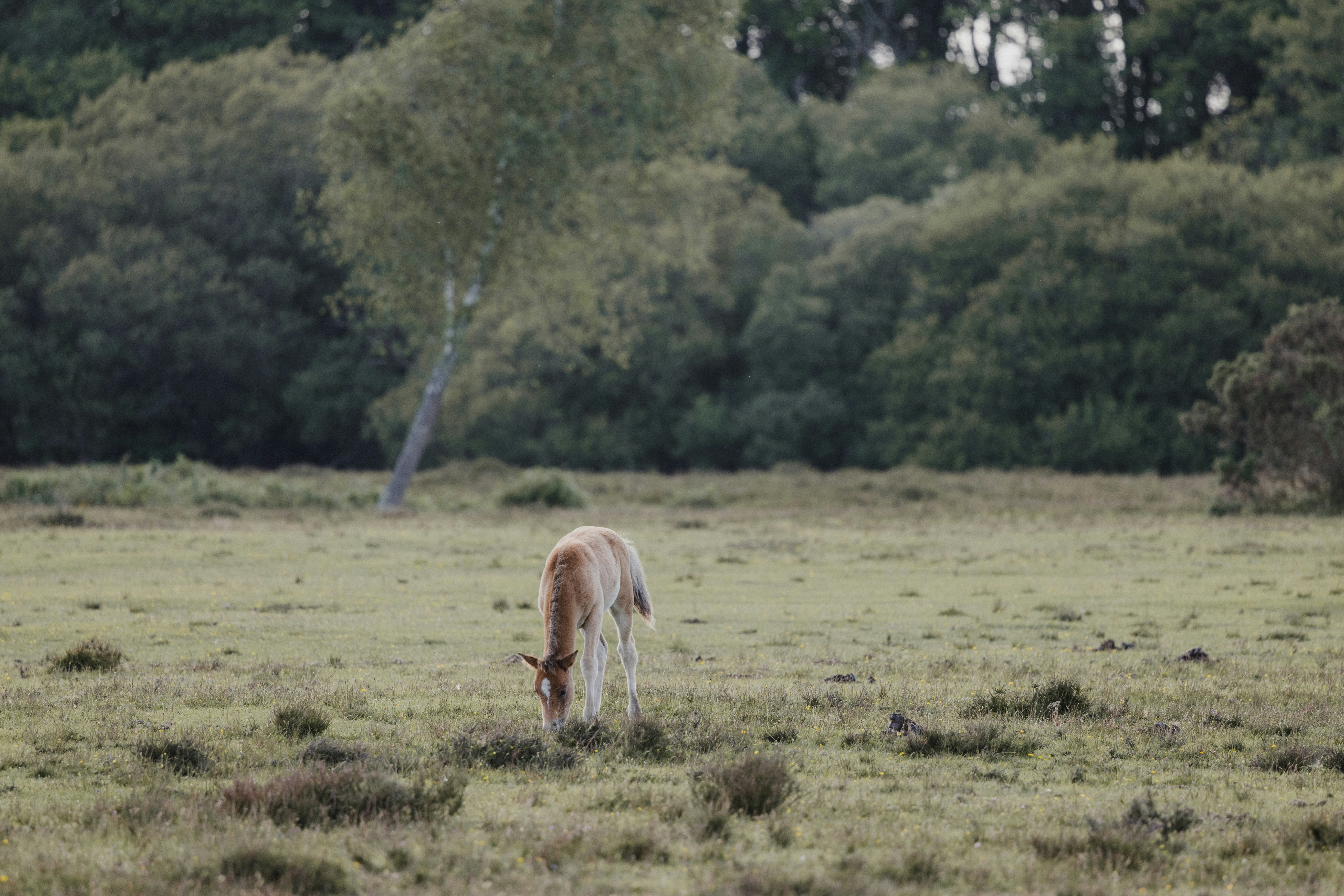 Photo by anniespratt