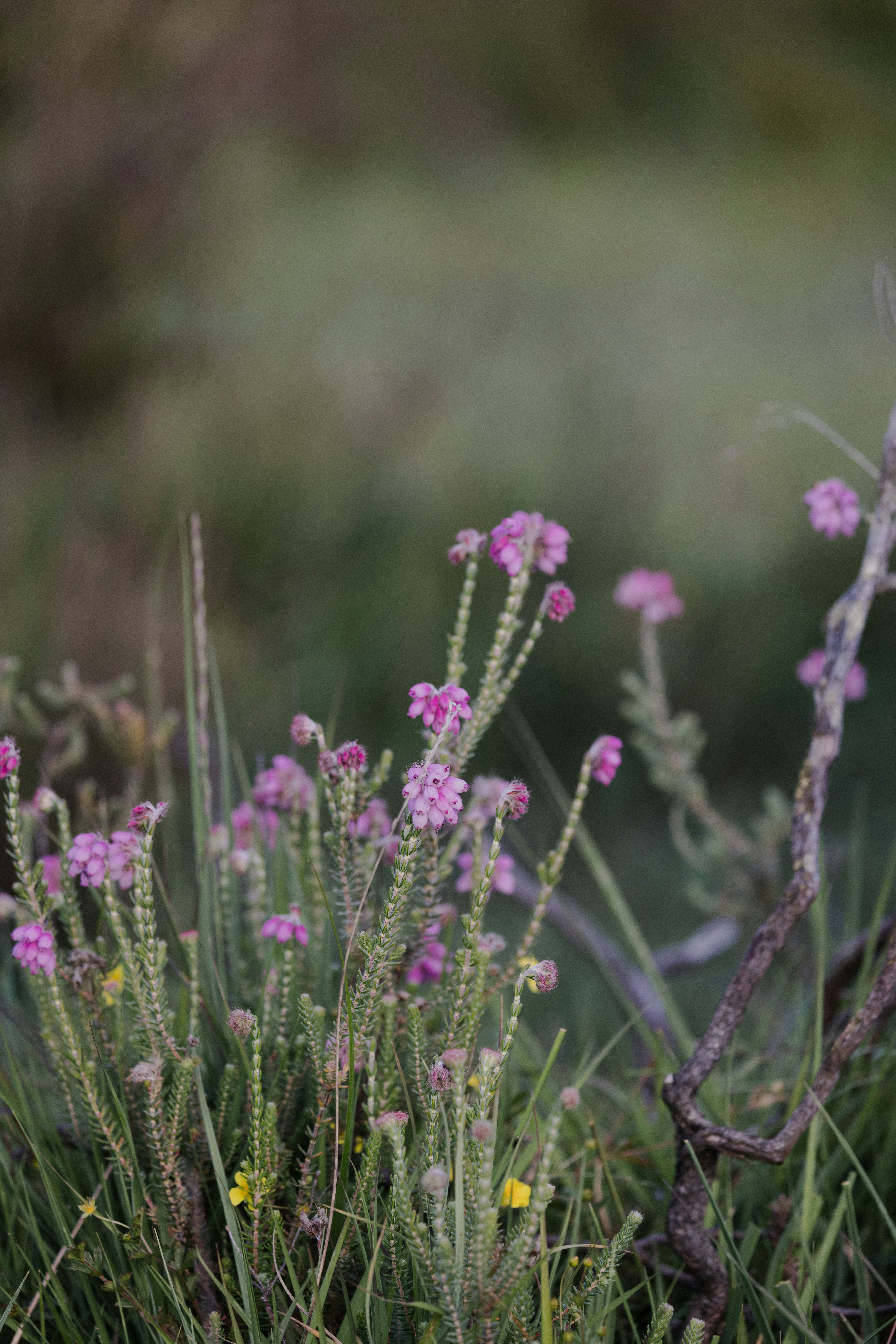 Photo by anniespratt