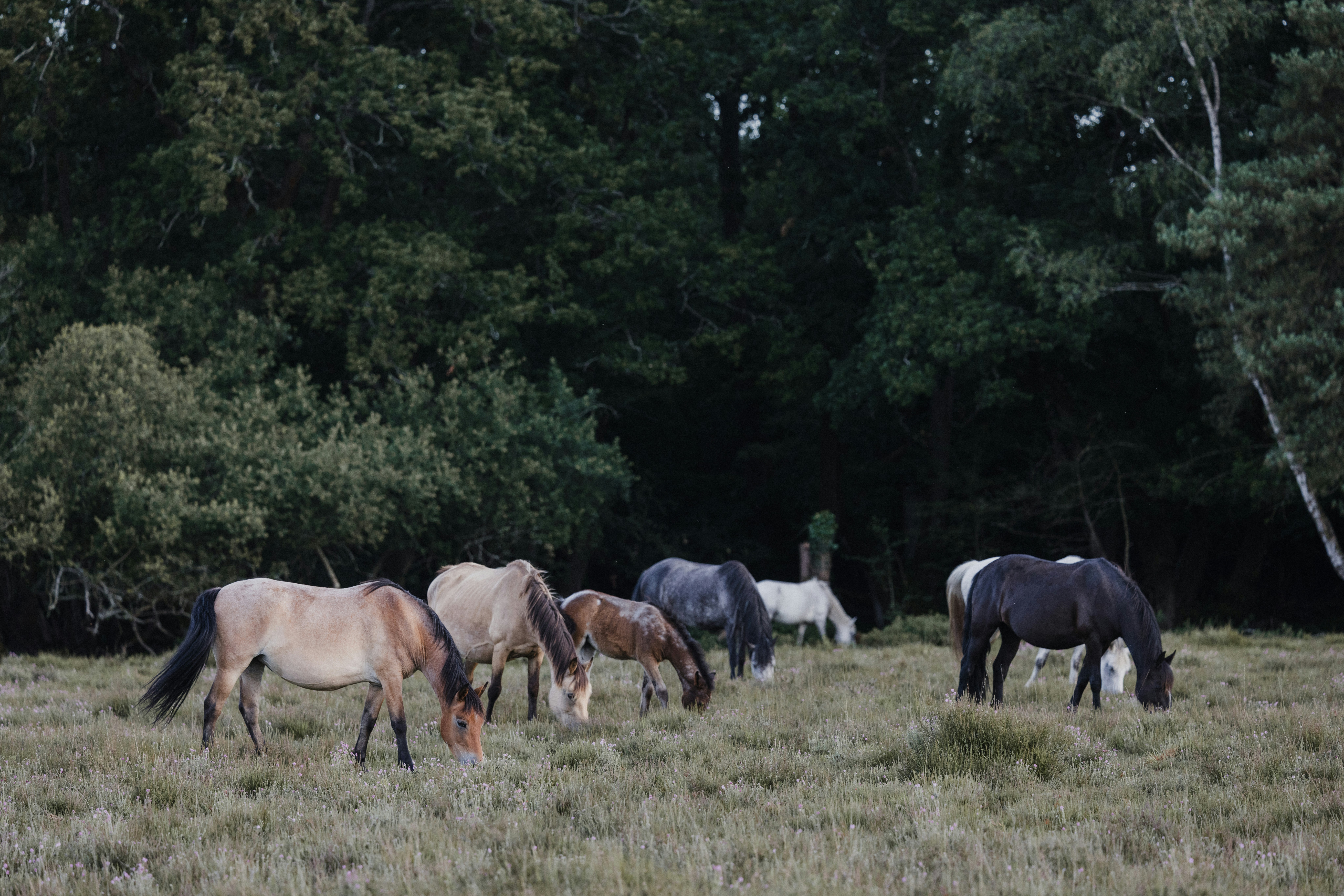 Photo by anniespratt