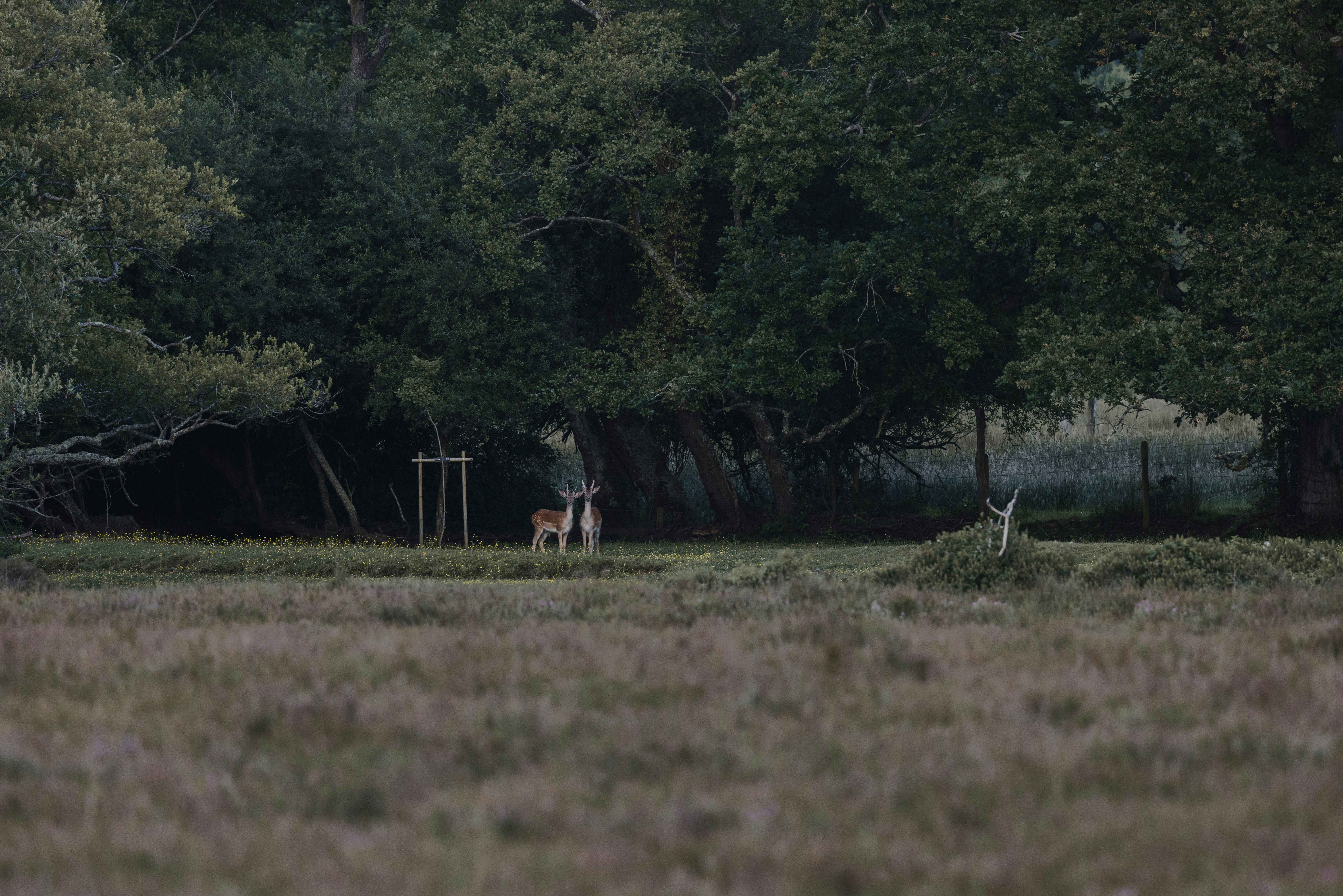 Photo by anniespratt