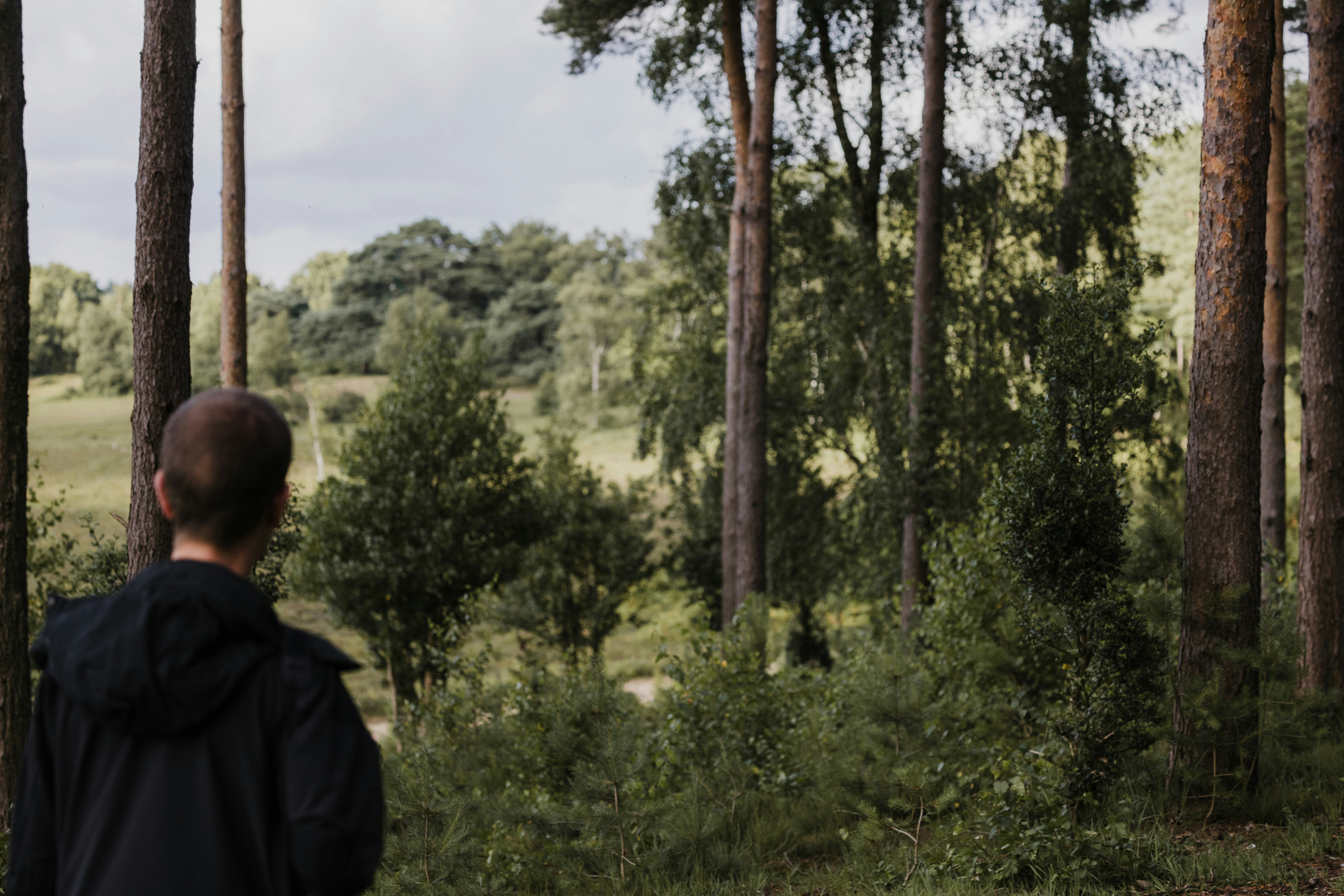 Photo by anniespratt